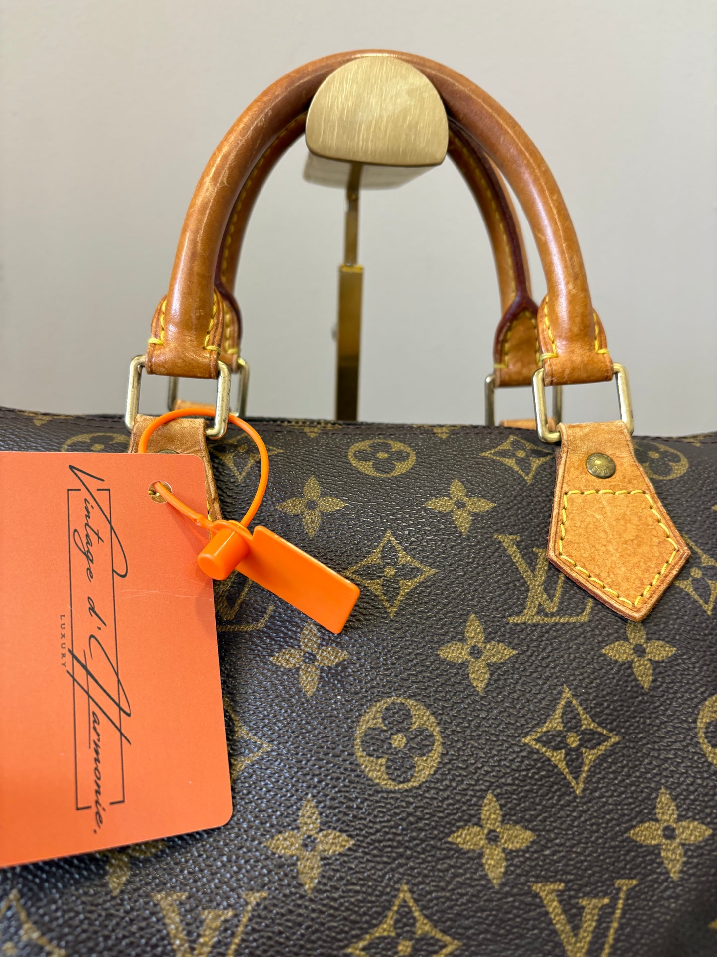 Louis Vuitton Speedy 30