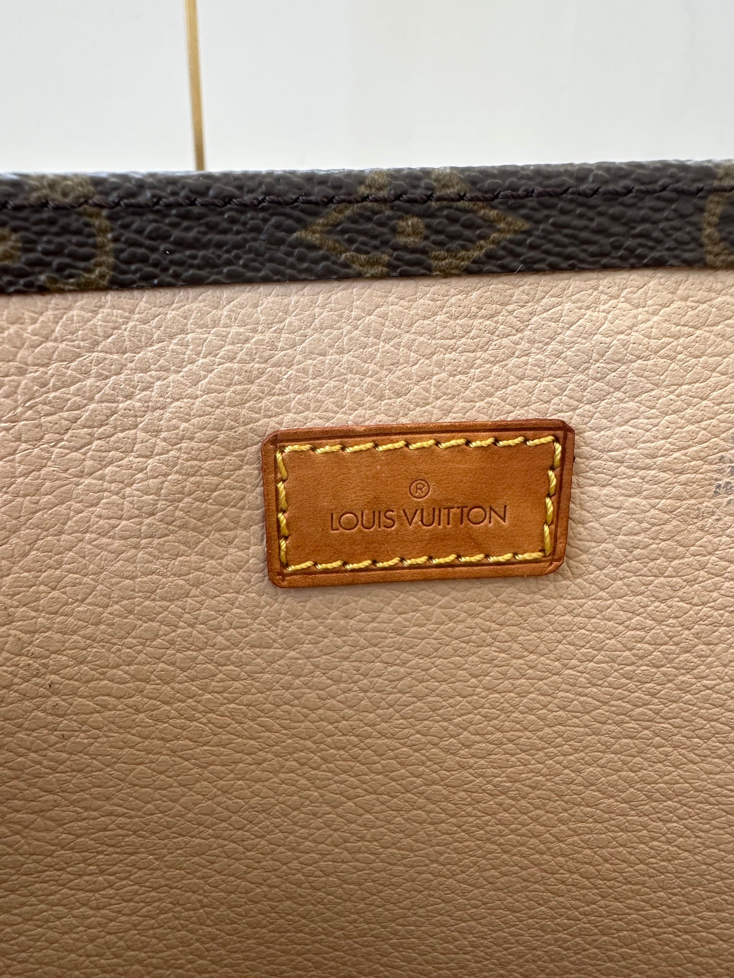 Louis Vuitton Sac Plat