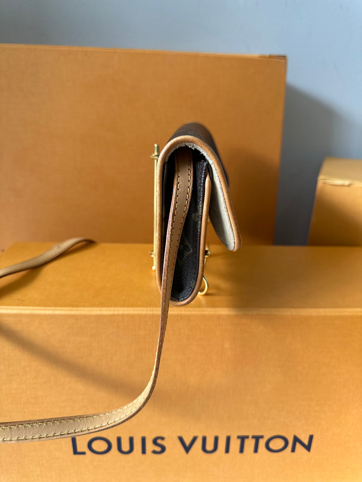 Louis Vuitton Pochette Twin PM