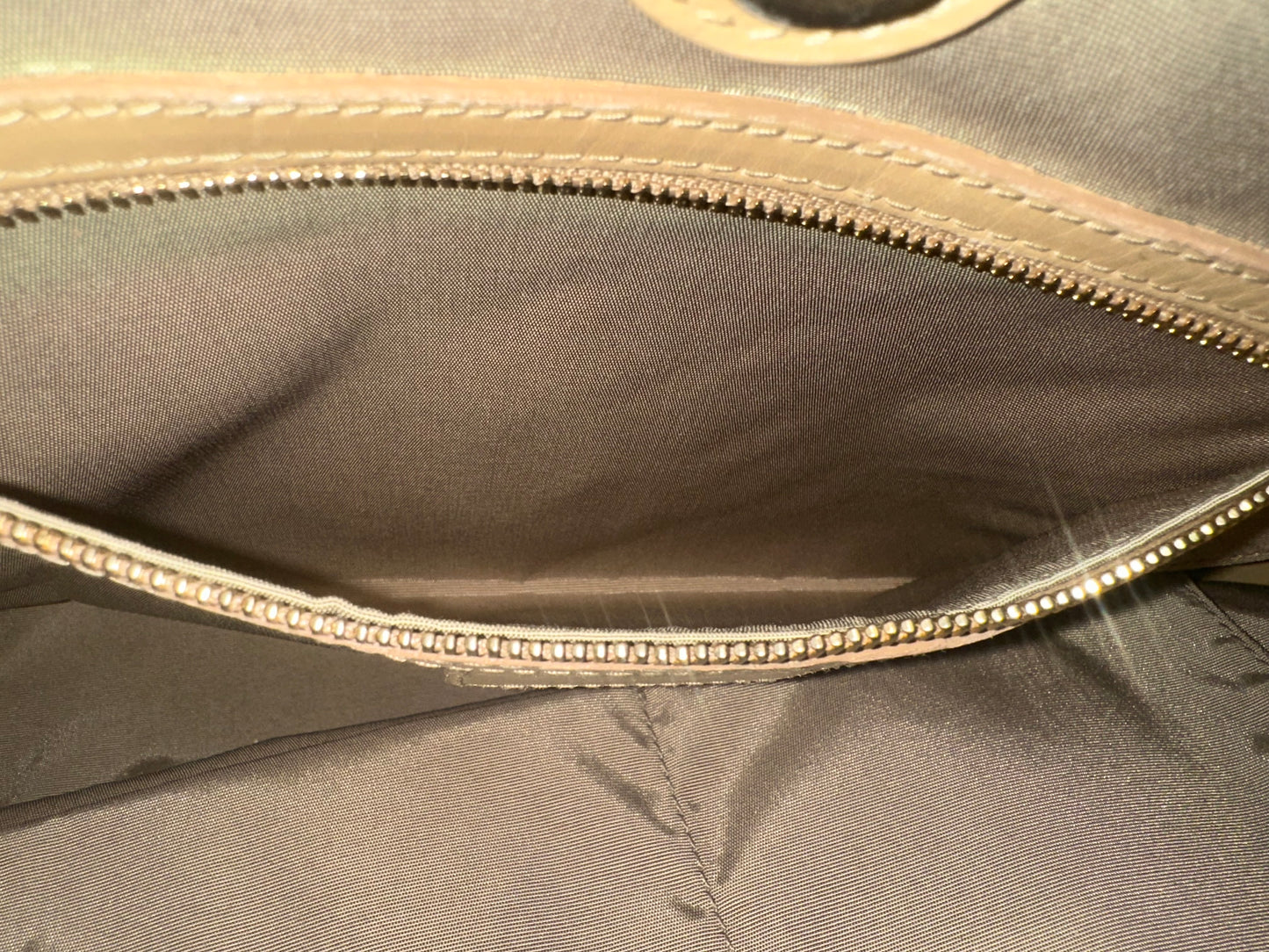 Dior Tote Bag