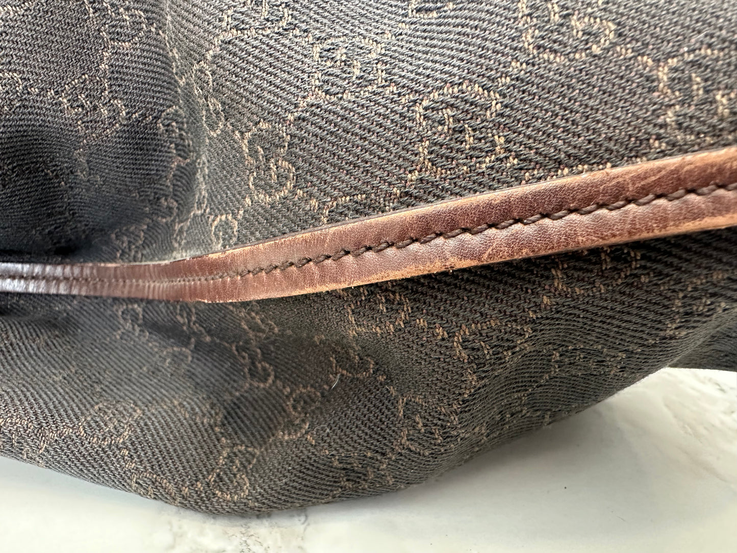 Gucci GG Canvas