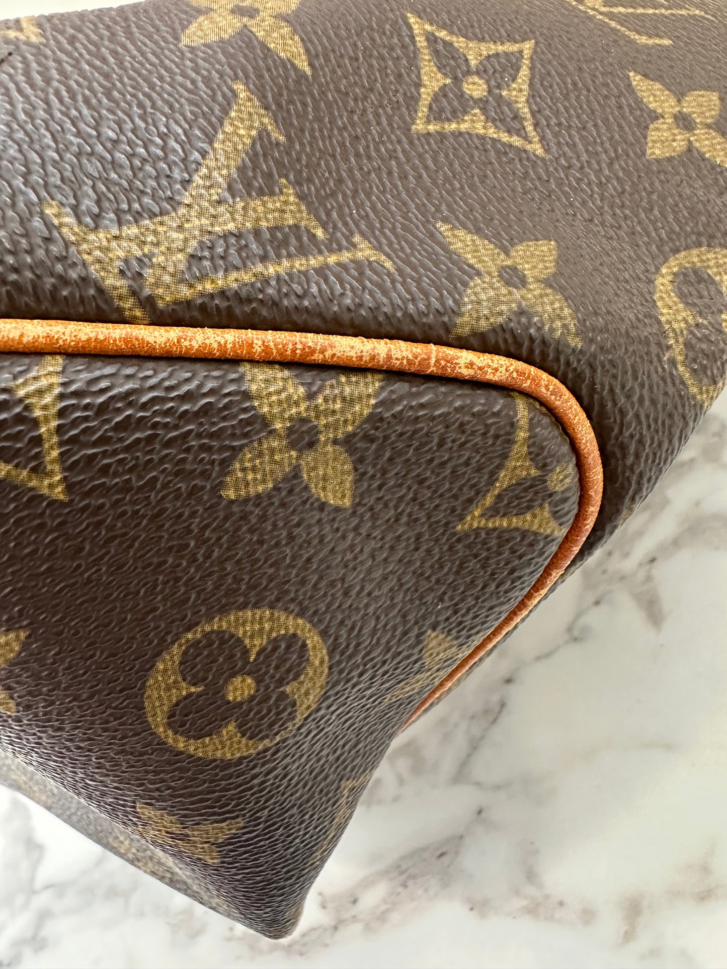 Louis Vuitton Sac Shopping