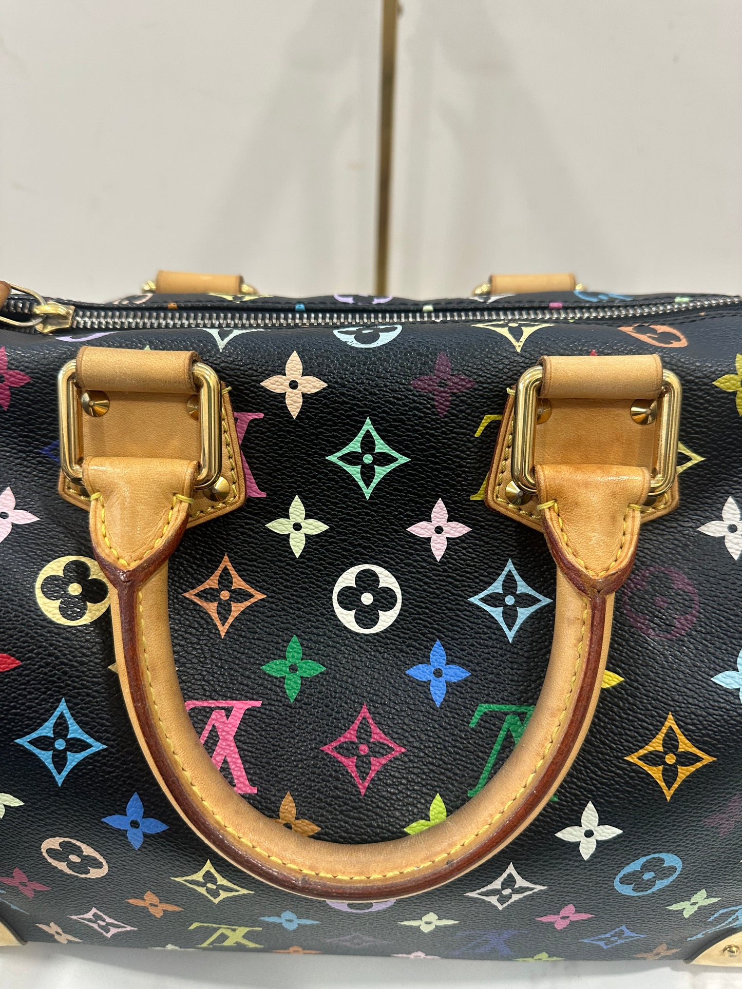 Louis Vuitton Speedy 30 Multicolor