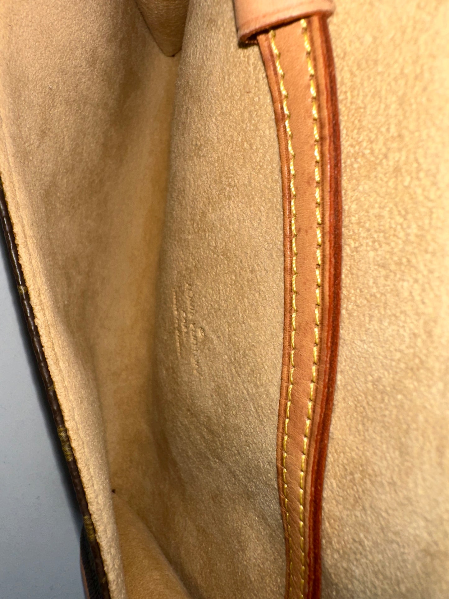 Louis Vuitton Pochette Twin PM