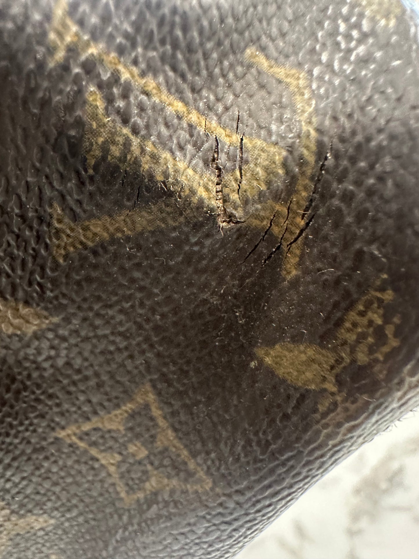 Louis Vuitton Luco