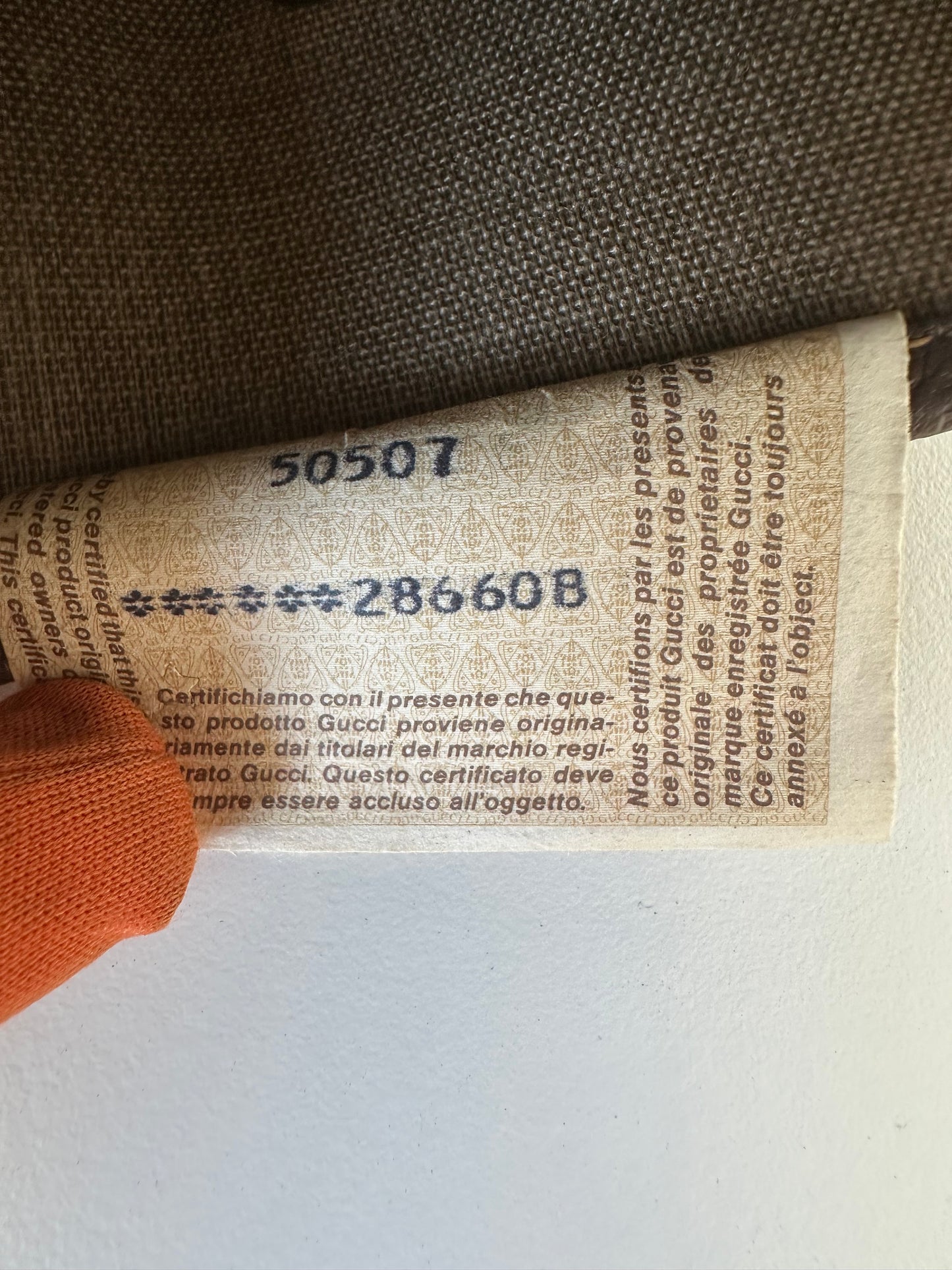 Gucci Sherry