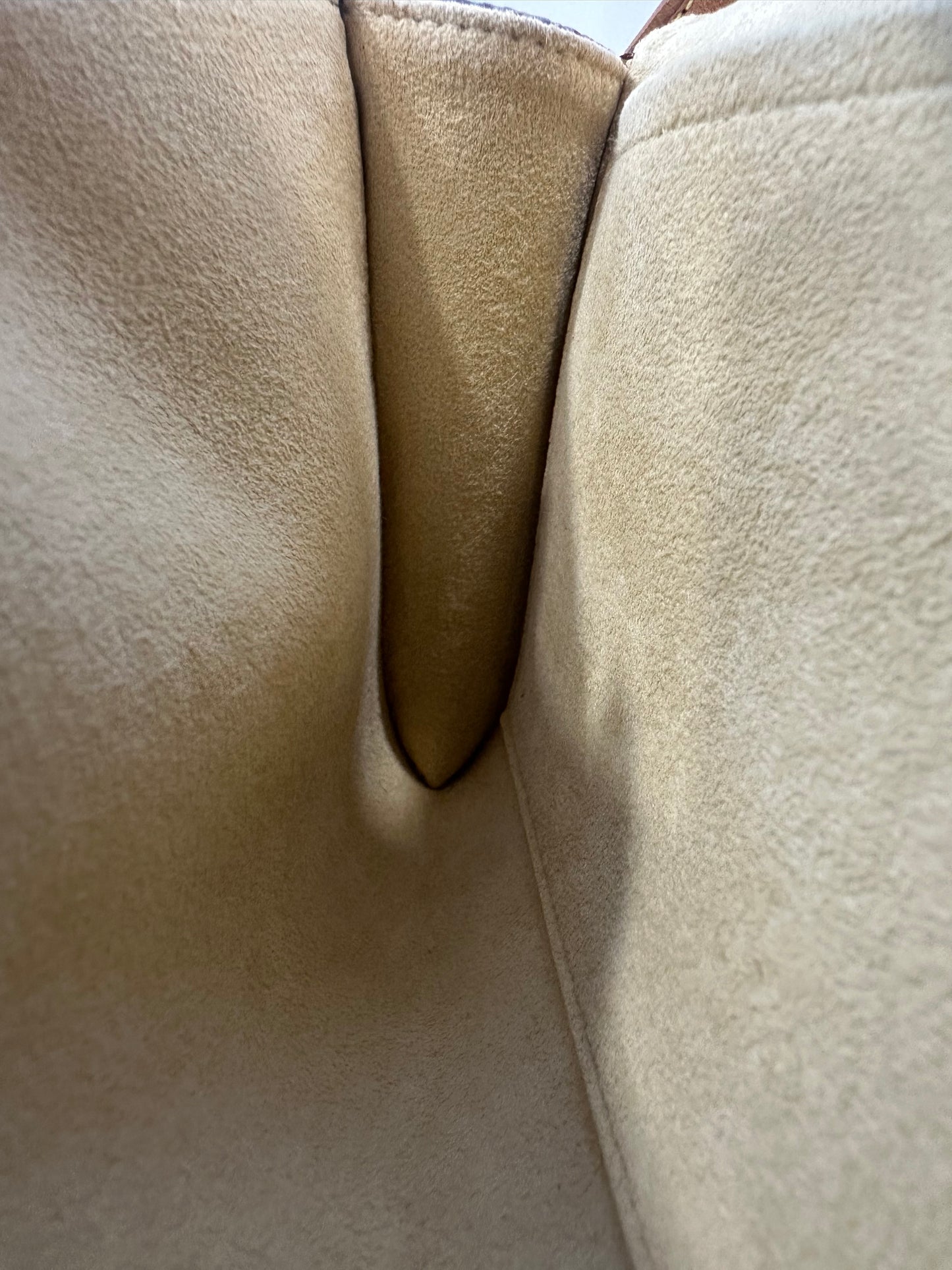 Louis Vuitton Pochette Twin GM