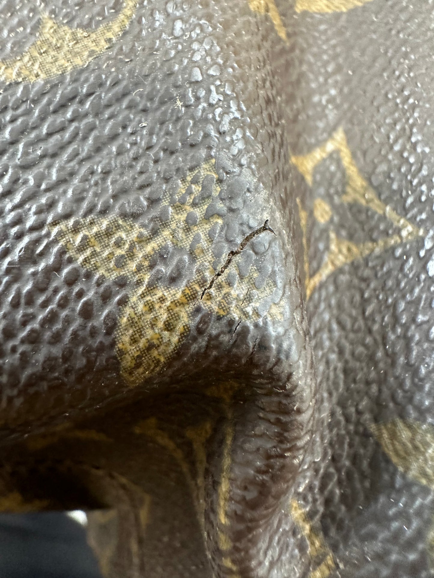Louis Vuitton Luco