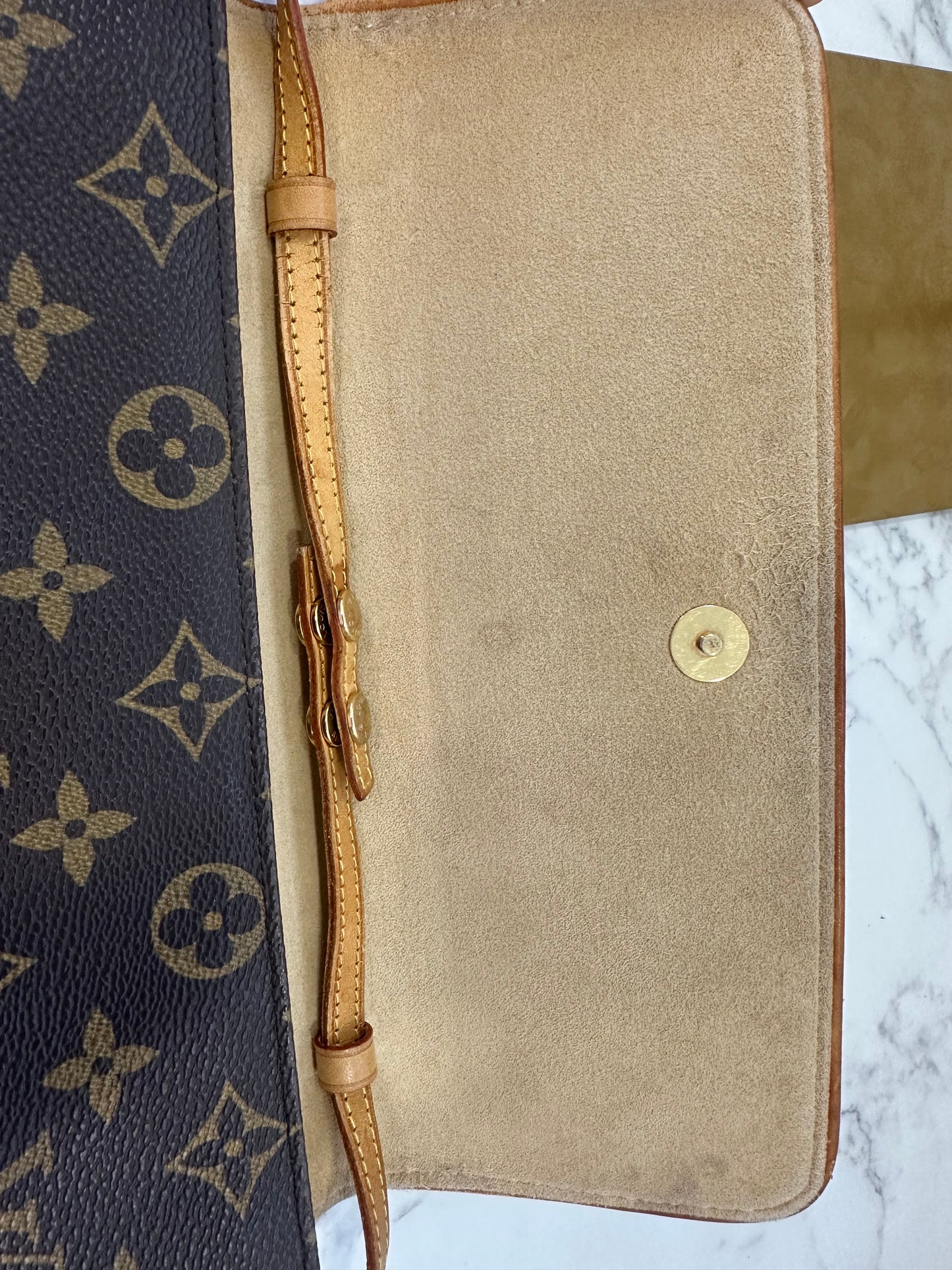 Louis Vuitton Pochette Twin GM
