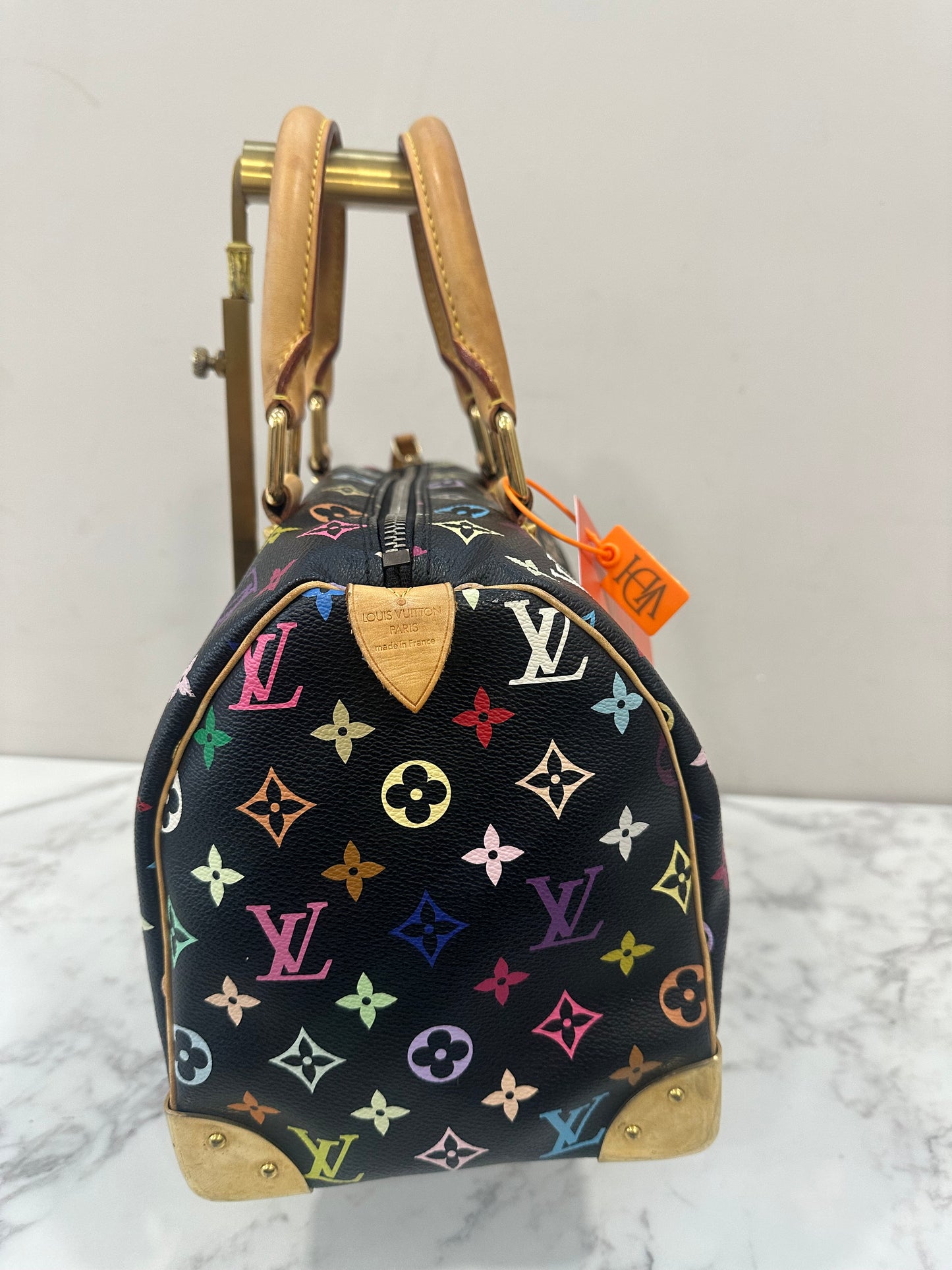 Louis Vuitton Speedy 30 Multicolor