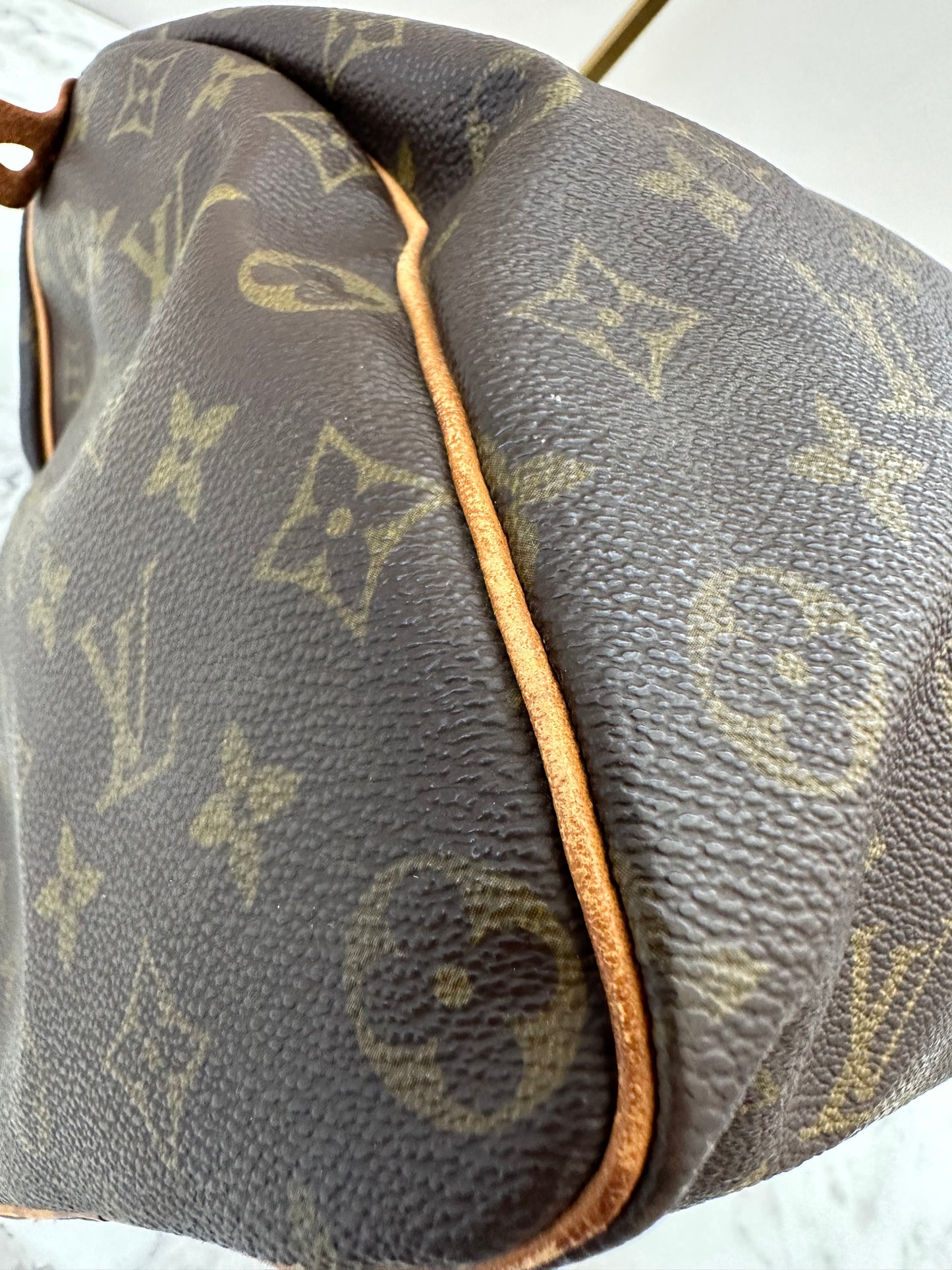 Louis Vuitton Speedy 35
