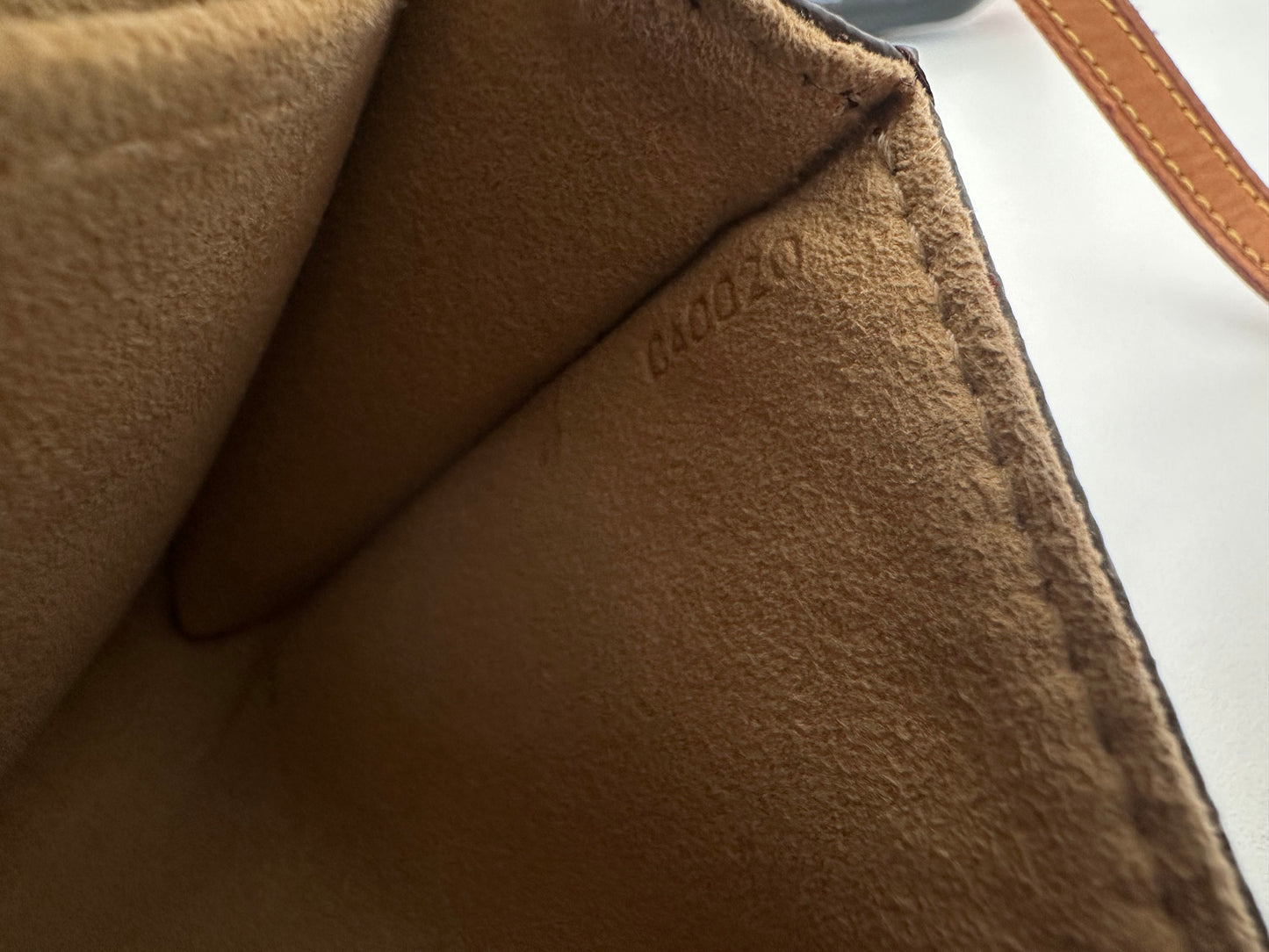 Louis Vuitton Pochette Twin GM
