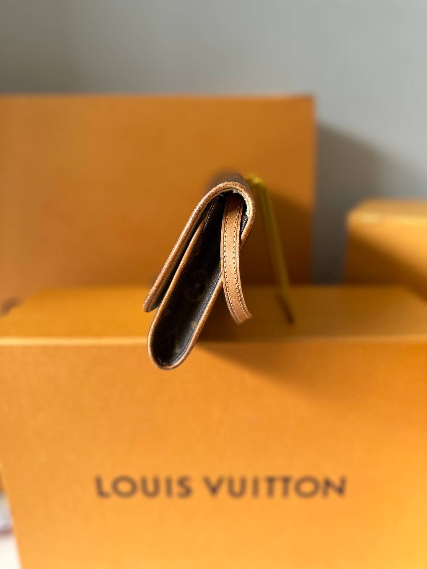 Louis Vuitton Pochette Twin GM