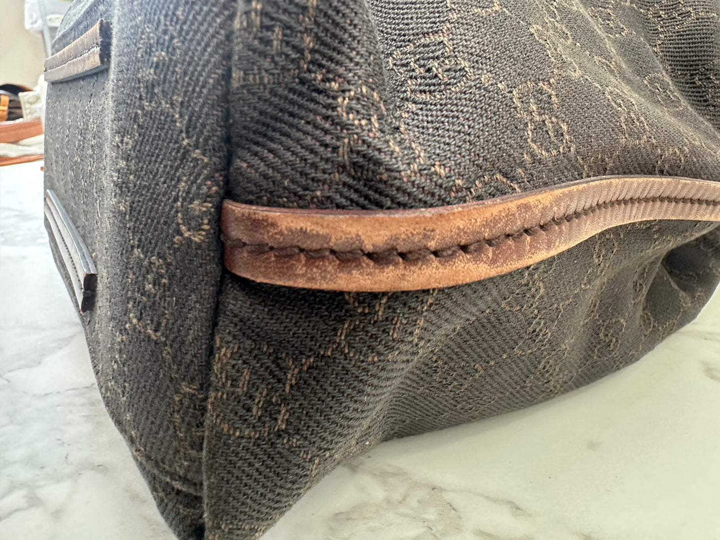 Gucci GG Canvas
