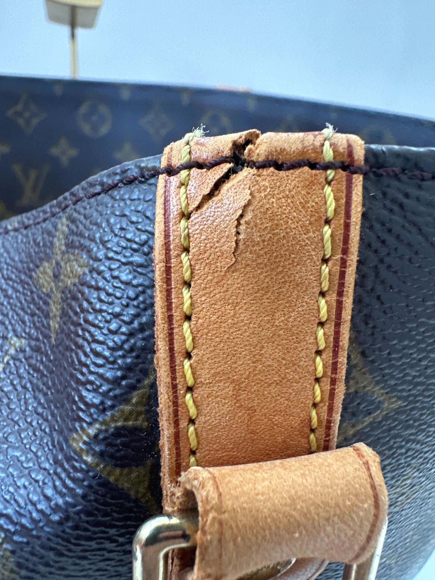 Louis Vuitton Sac Shopping