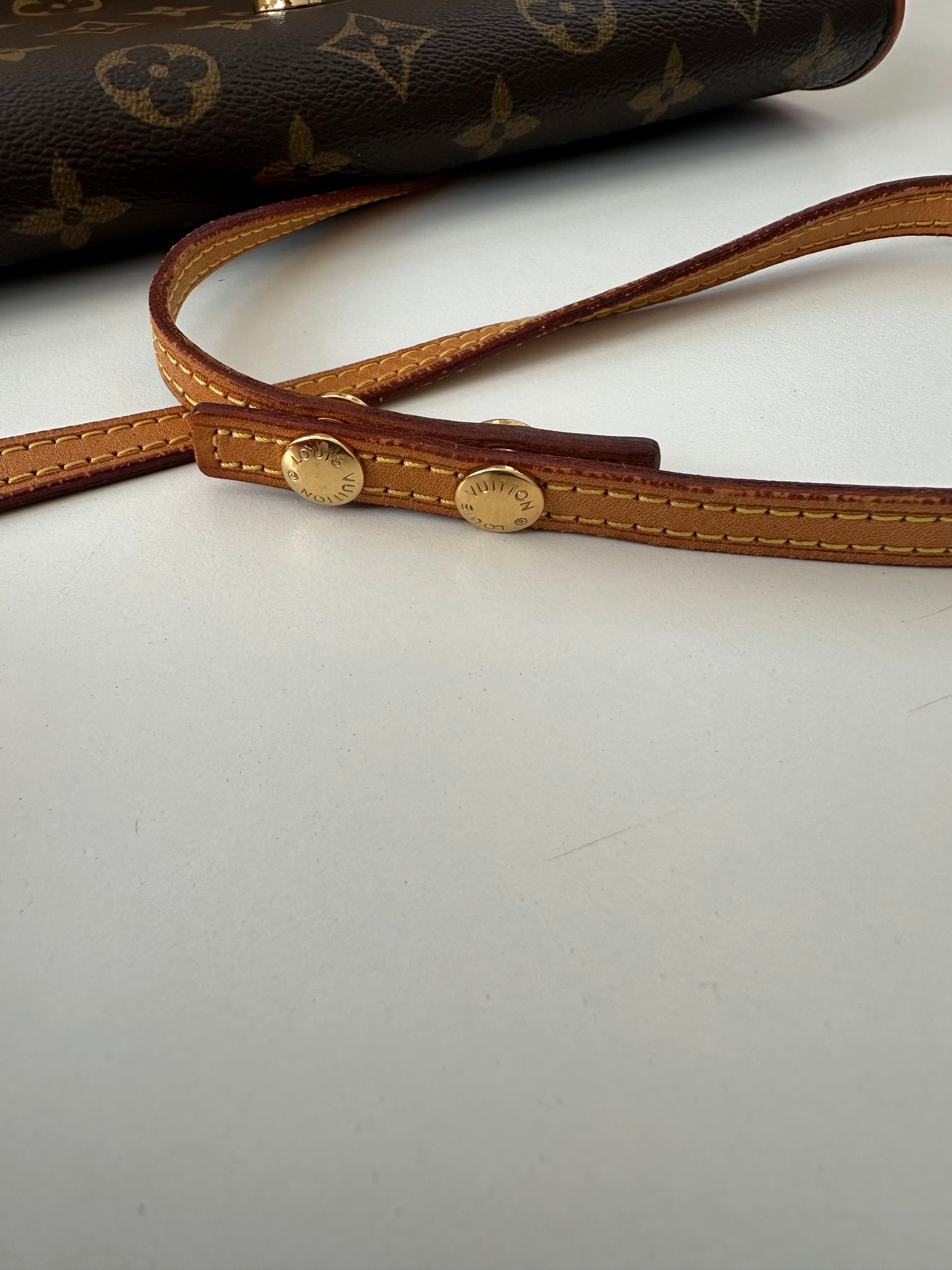 Louis Vuitton Pochette Twin GM