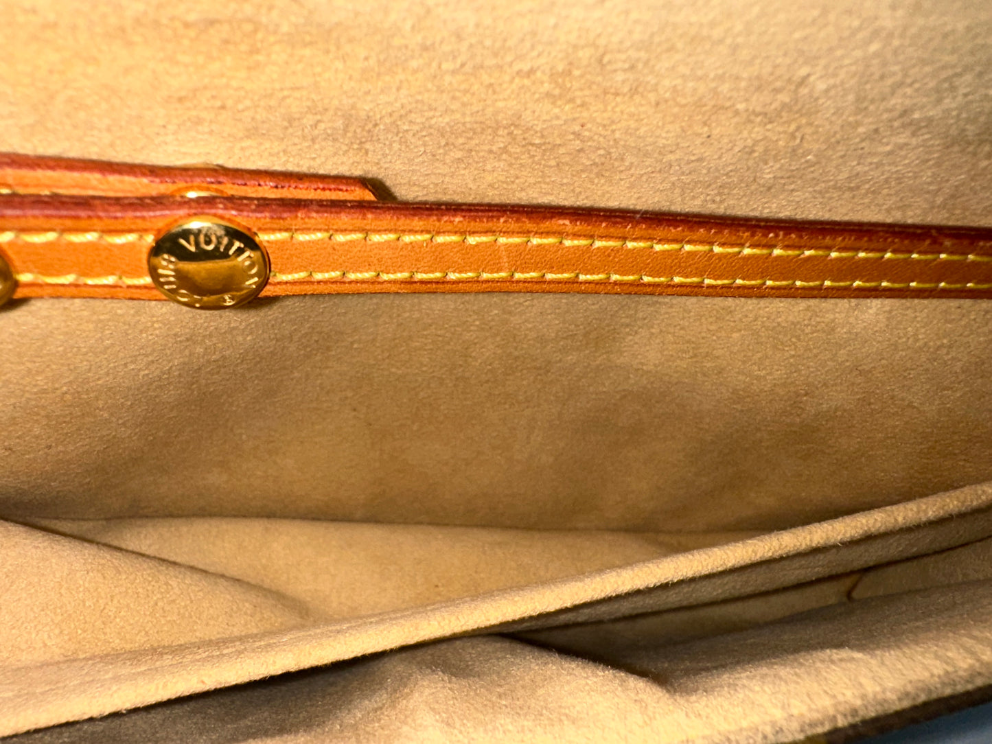 Louis Vuitton Pochette Twin GM