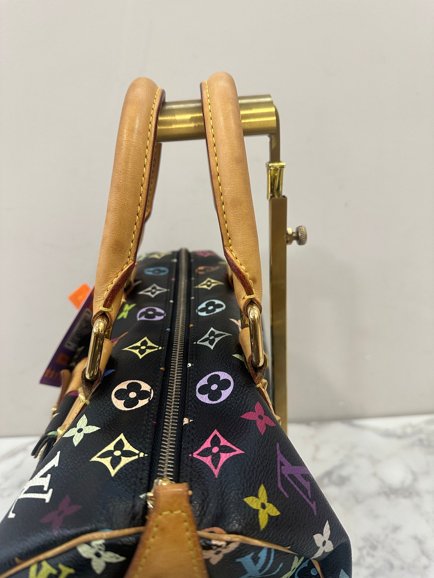 Louis Vuitton Speedy 30 Multicolor