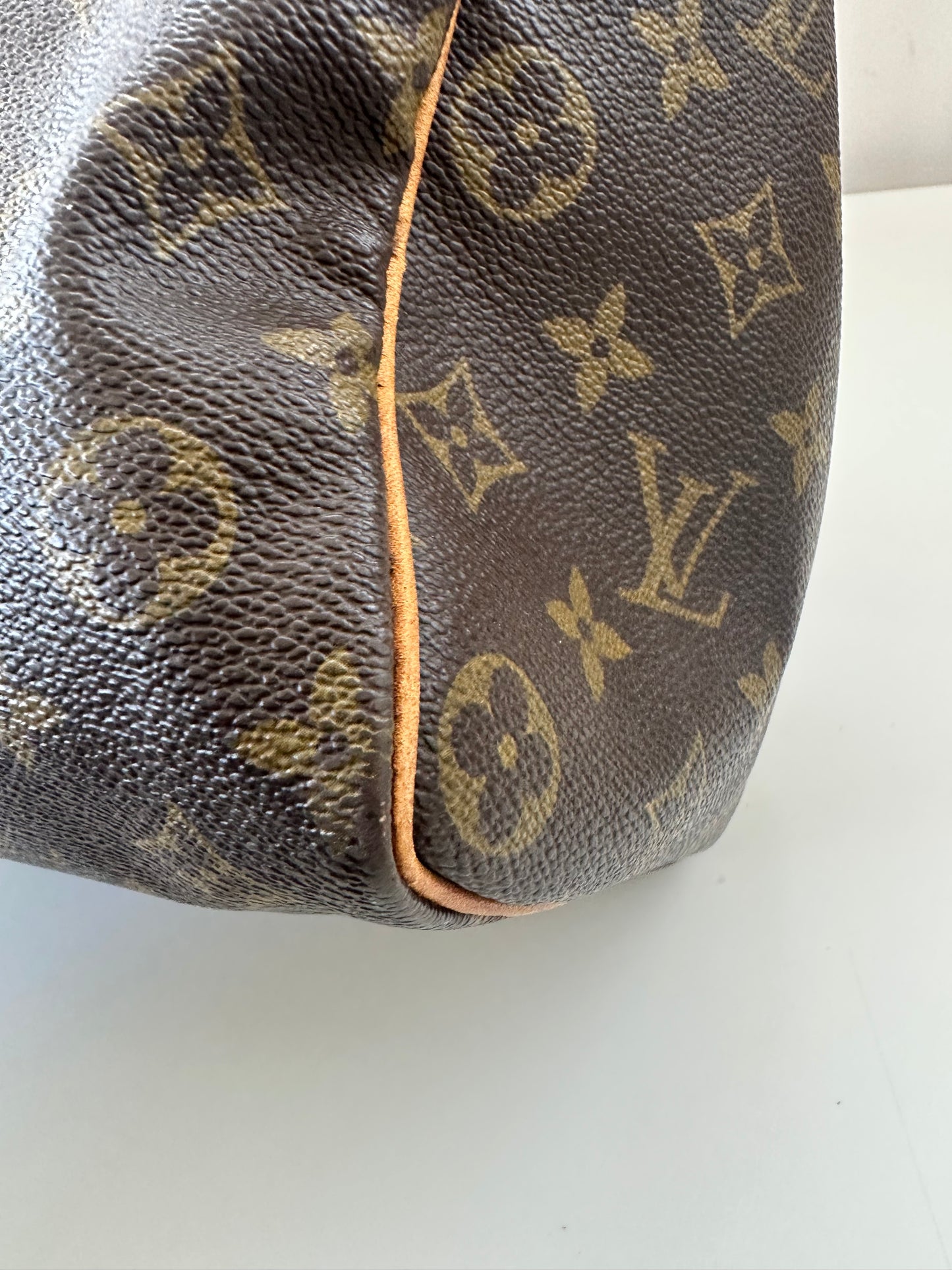 Louis Vuitton Speedy 35