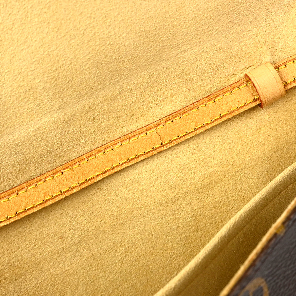 Louis Vuitton Pochette Twin GM