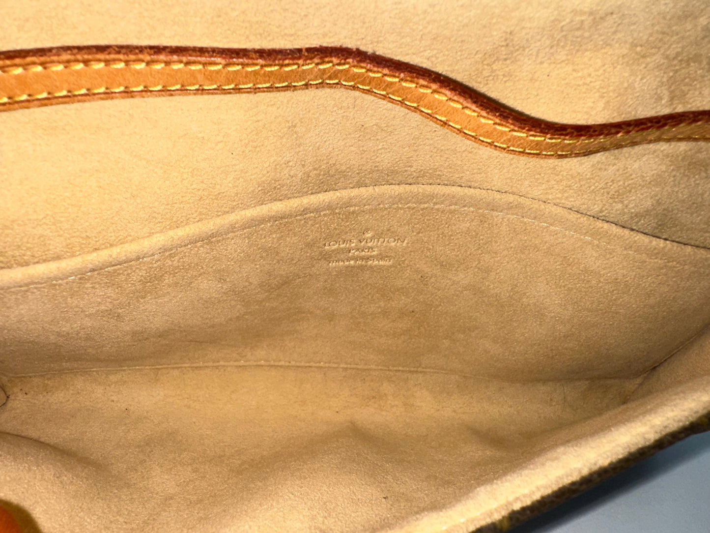 Louis Vuitton Pochette Twin GM