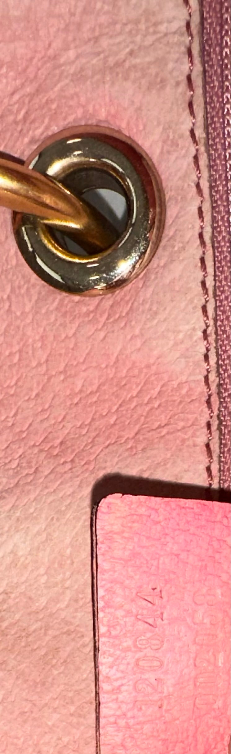 Gucci GG Canvas Pink