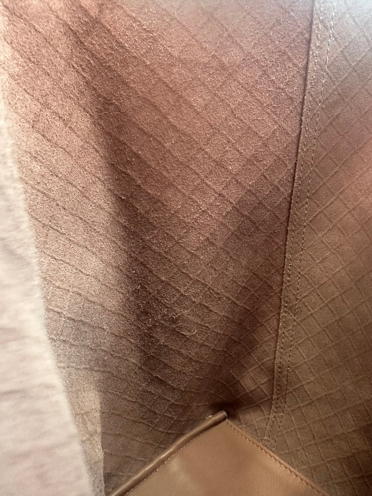 Bottega Veneta Pink Tote Bag