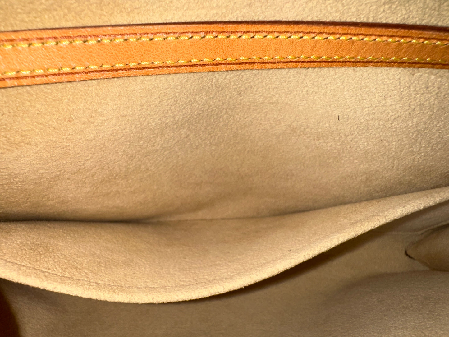 Louis Vuitton Pochette Twin GM