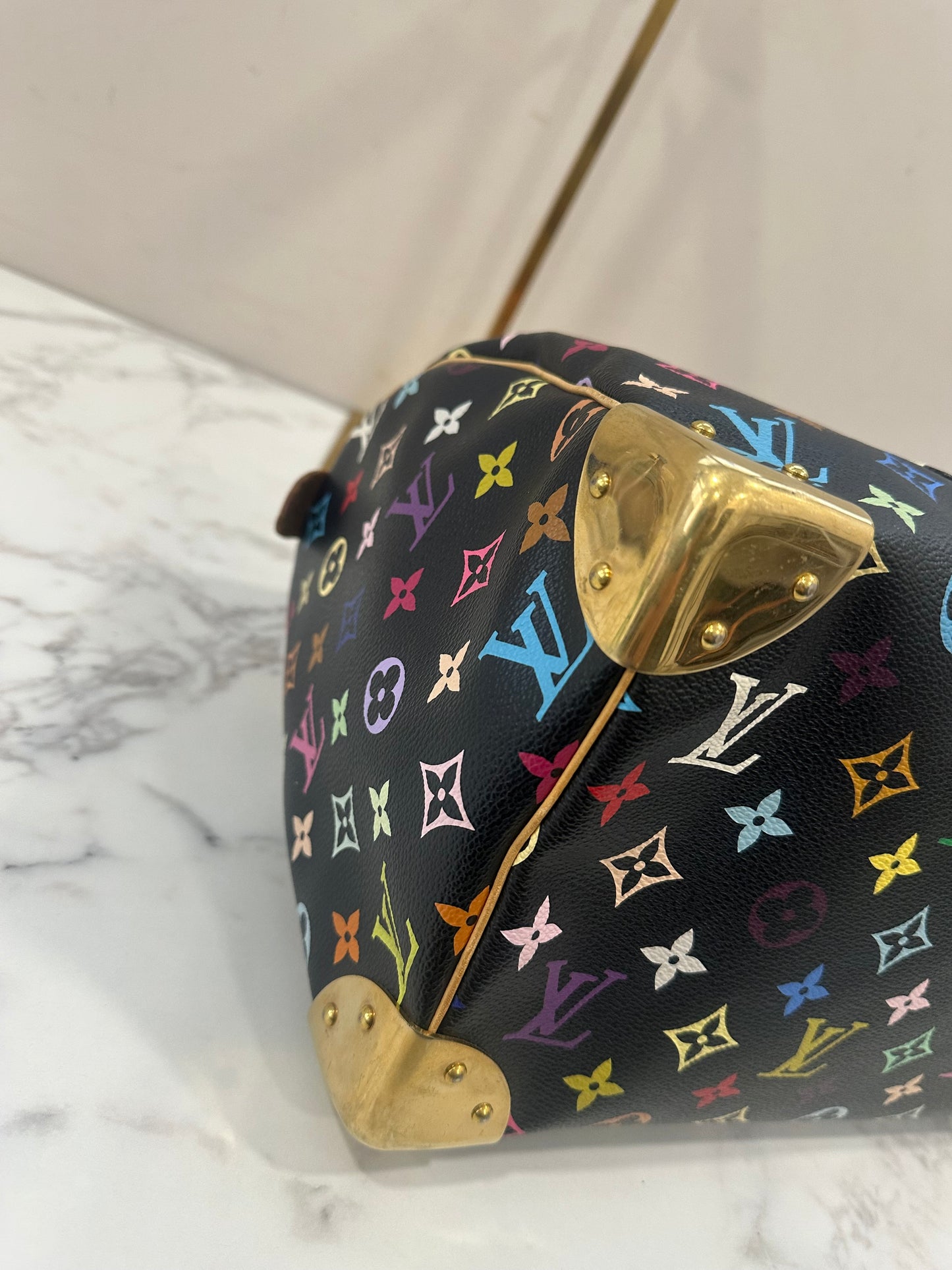 Louis Vuitton Speedy 30 Multicolor