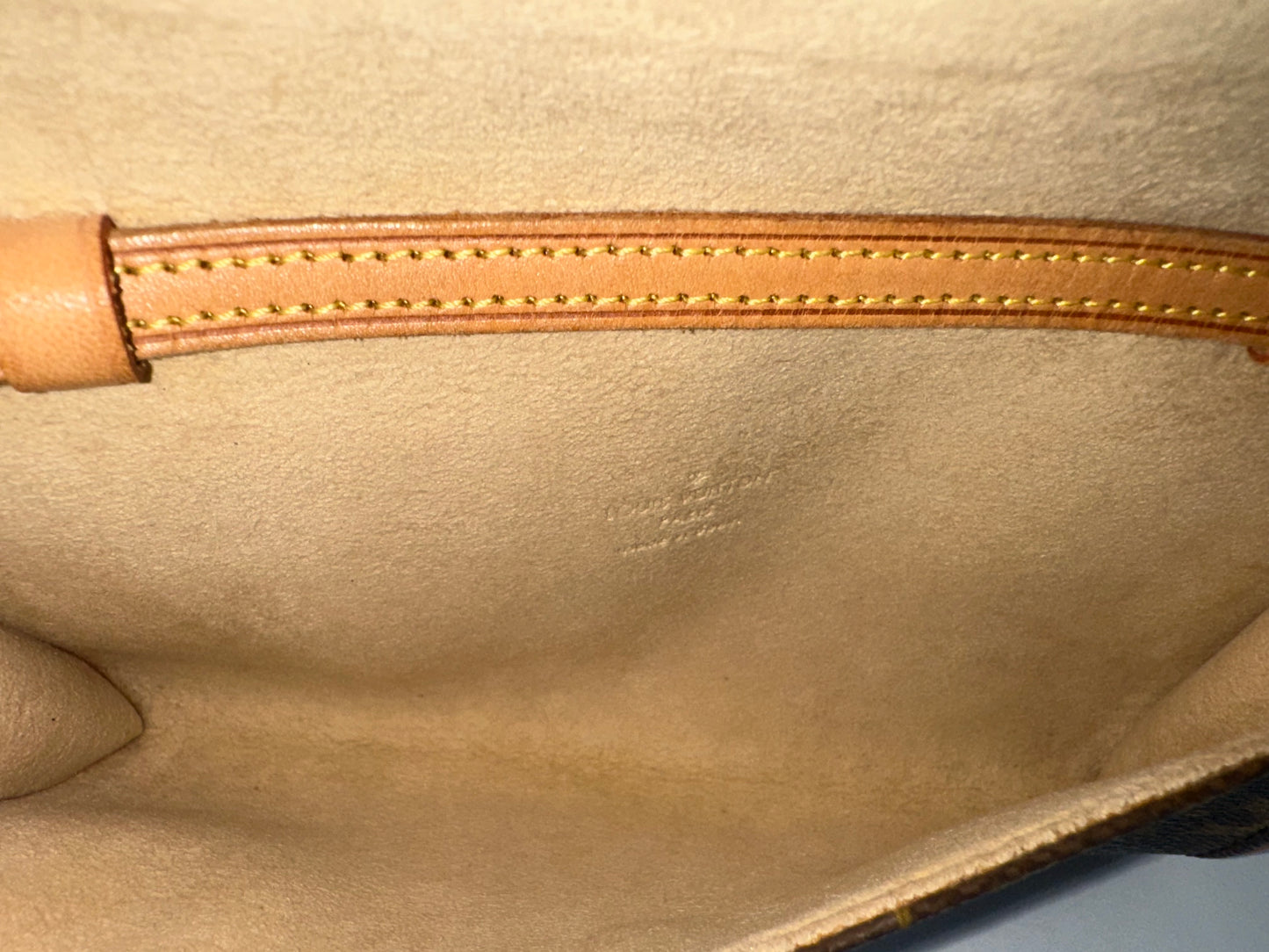 Louis Vuitton Pochette Twin PM