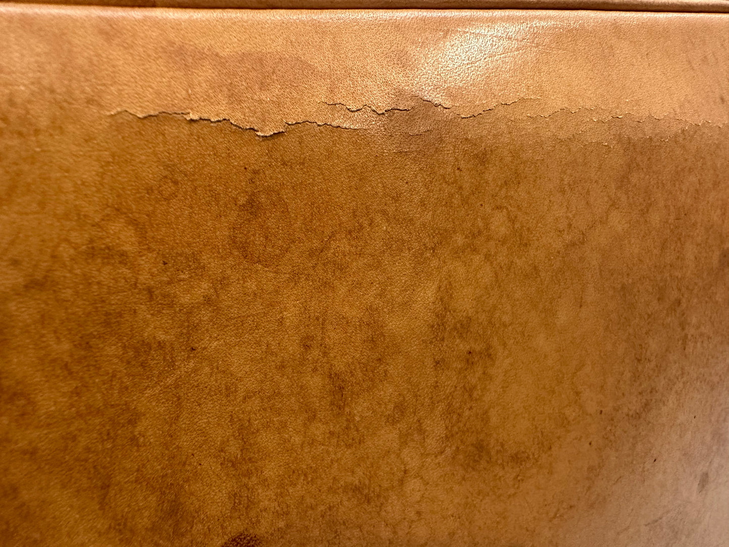 Louis Vuitton Alma