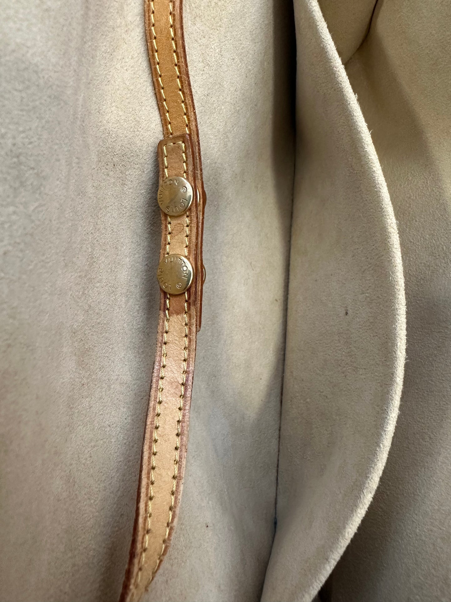 Louis Vuitton Pochette Twin GM