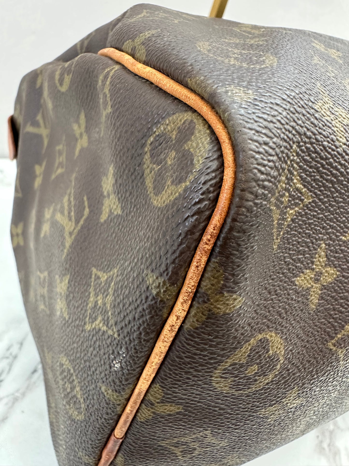 Louis Vuitton Speedy 35