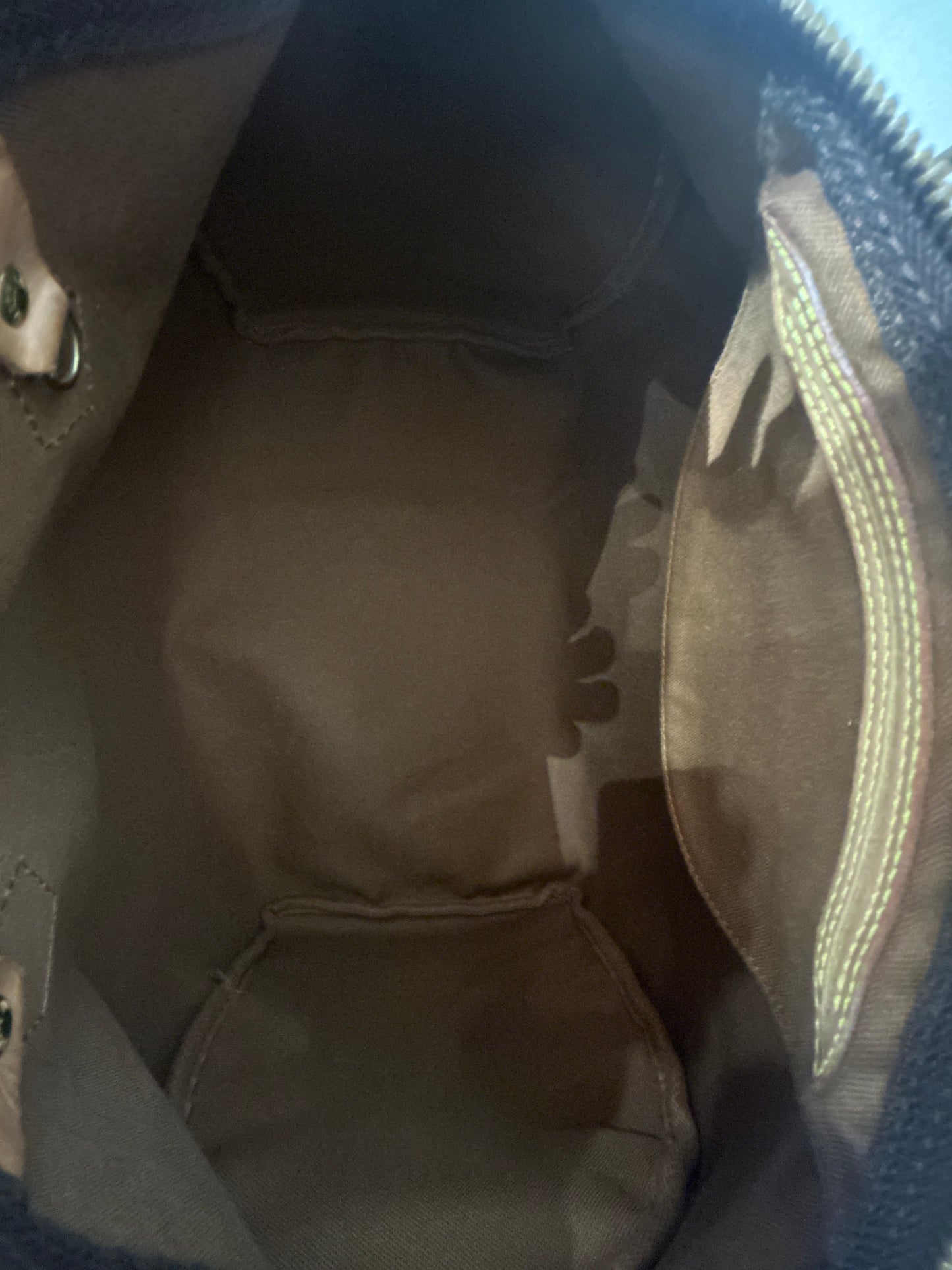 Louis Vuitton Speedy 35