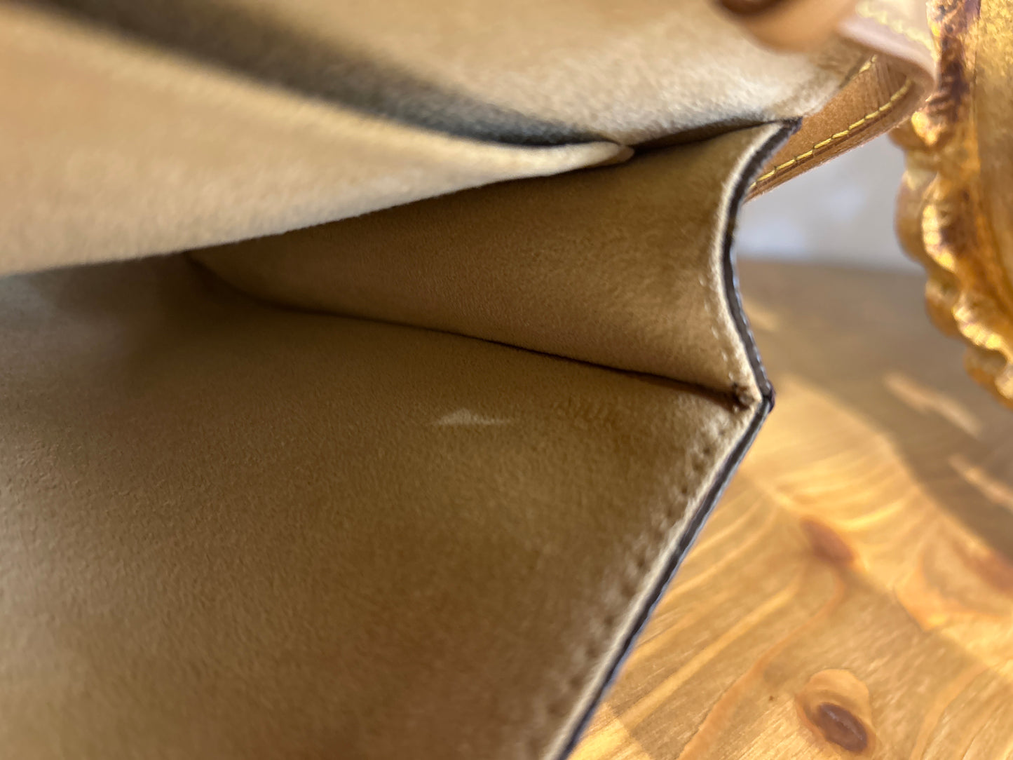 Louis Vuitton Pochette Twin GM