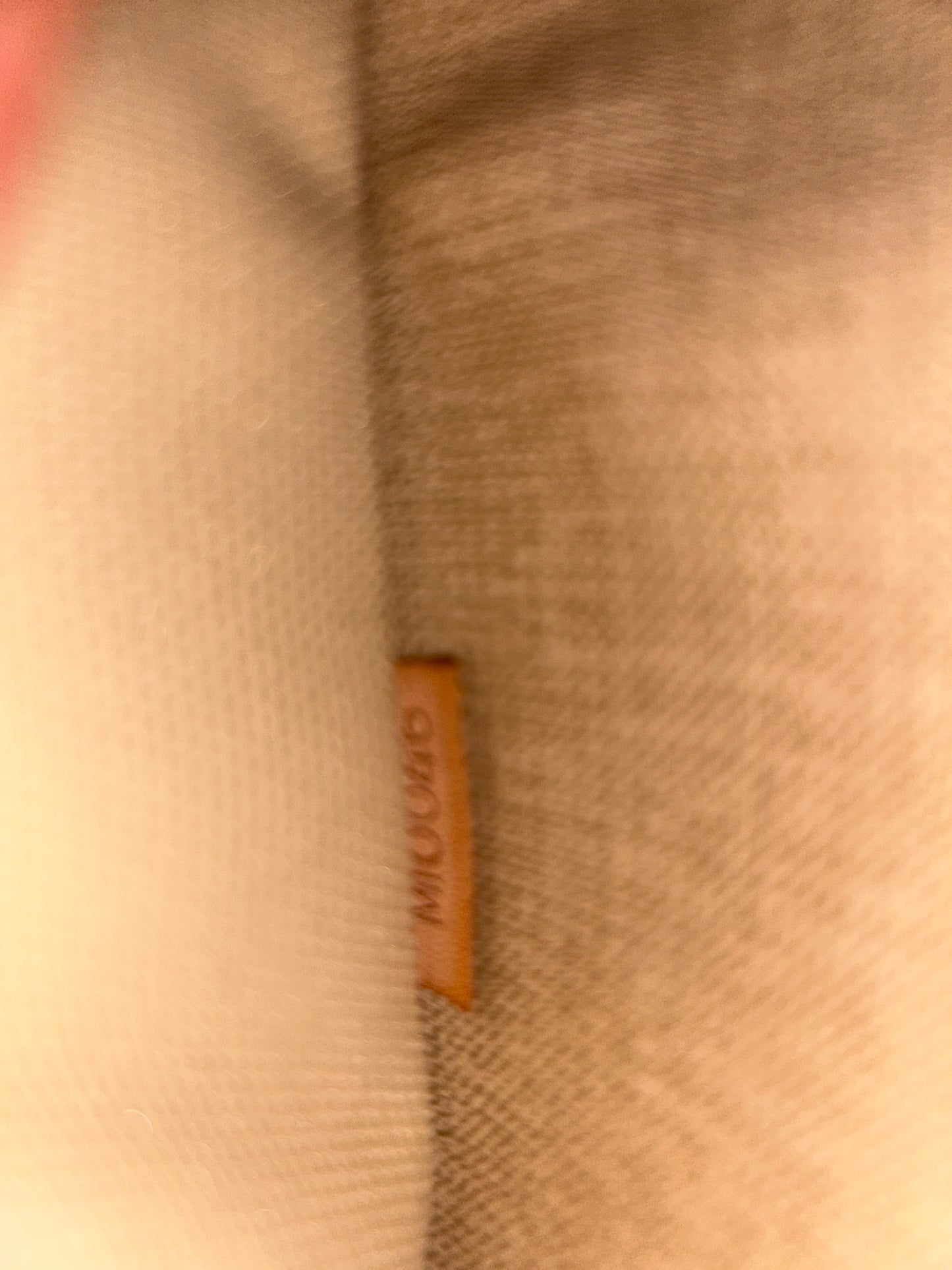 Louis Vuitton Trouville