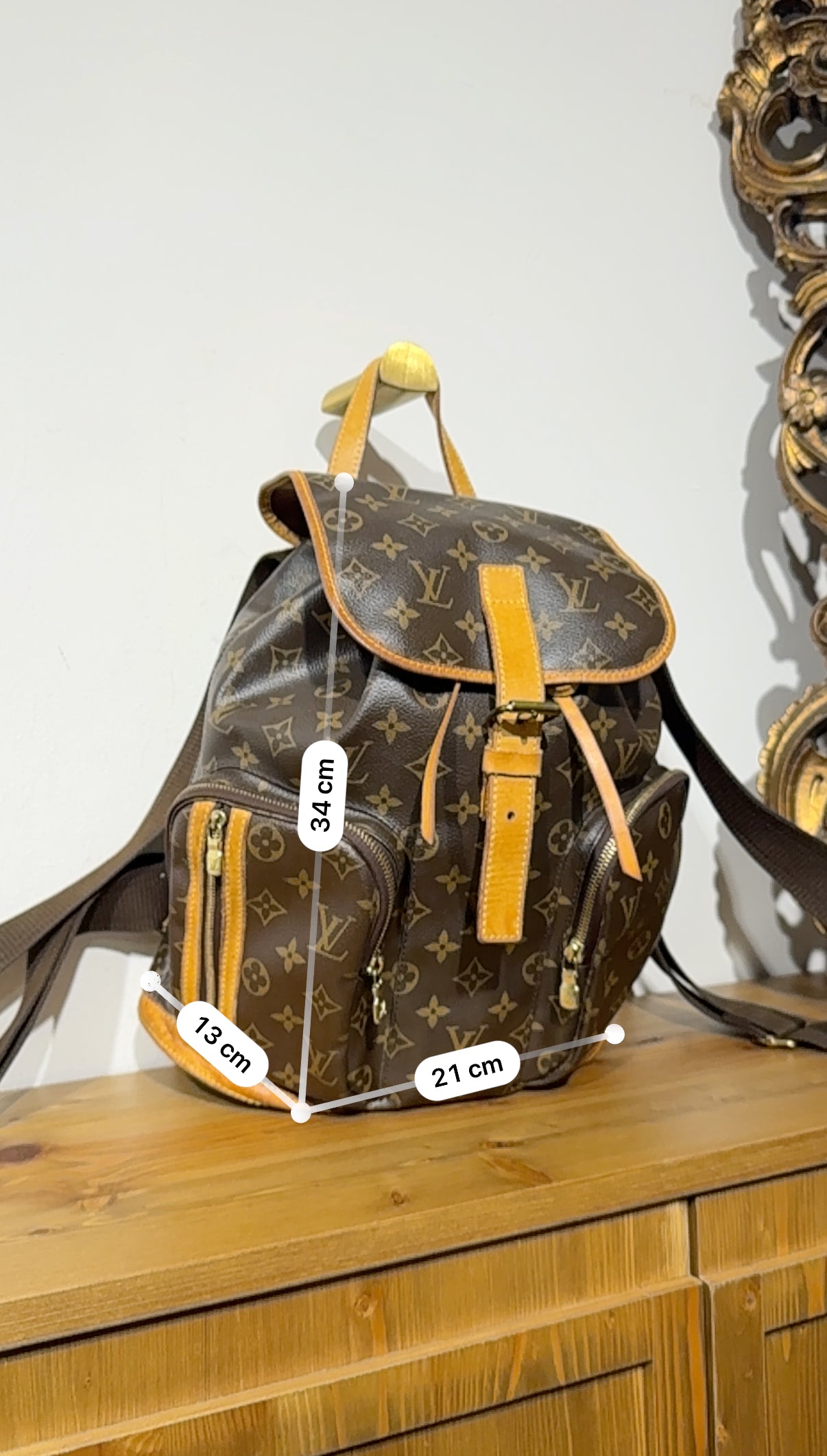 Louis Vuitton Bosphore Backpack