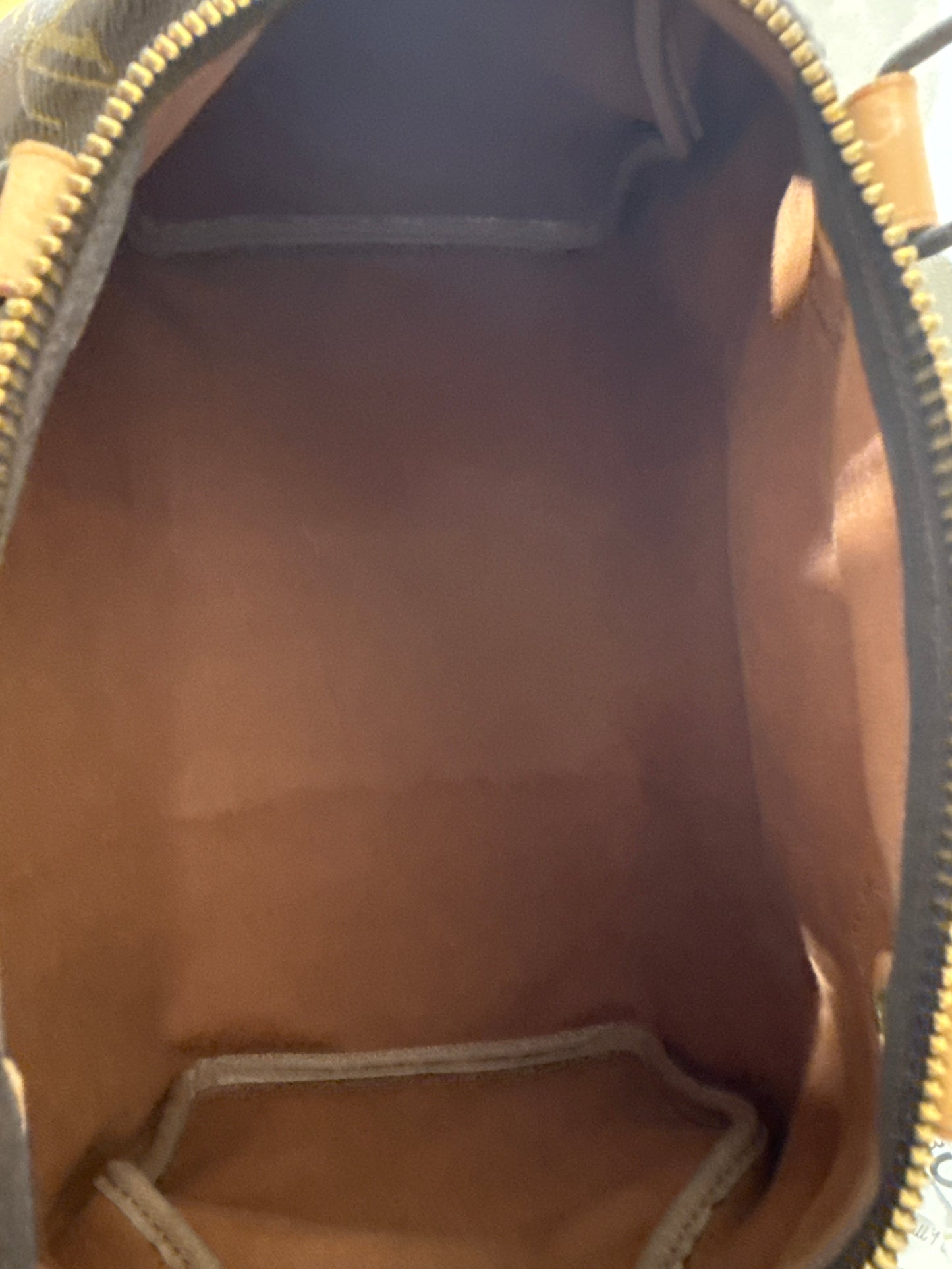 Louis Vuitton Speedy 30 Monogram