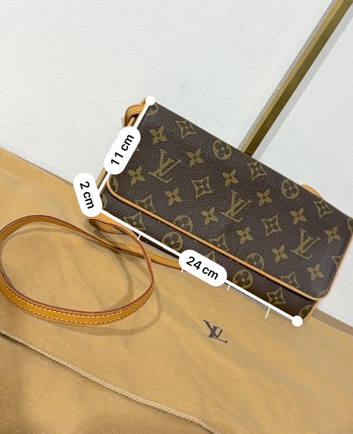 Louis Vuitton Pochette Twin GM