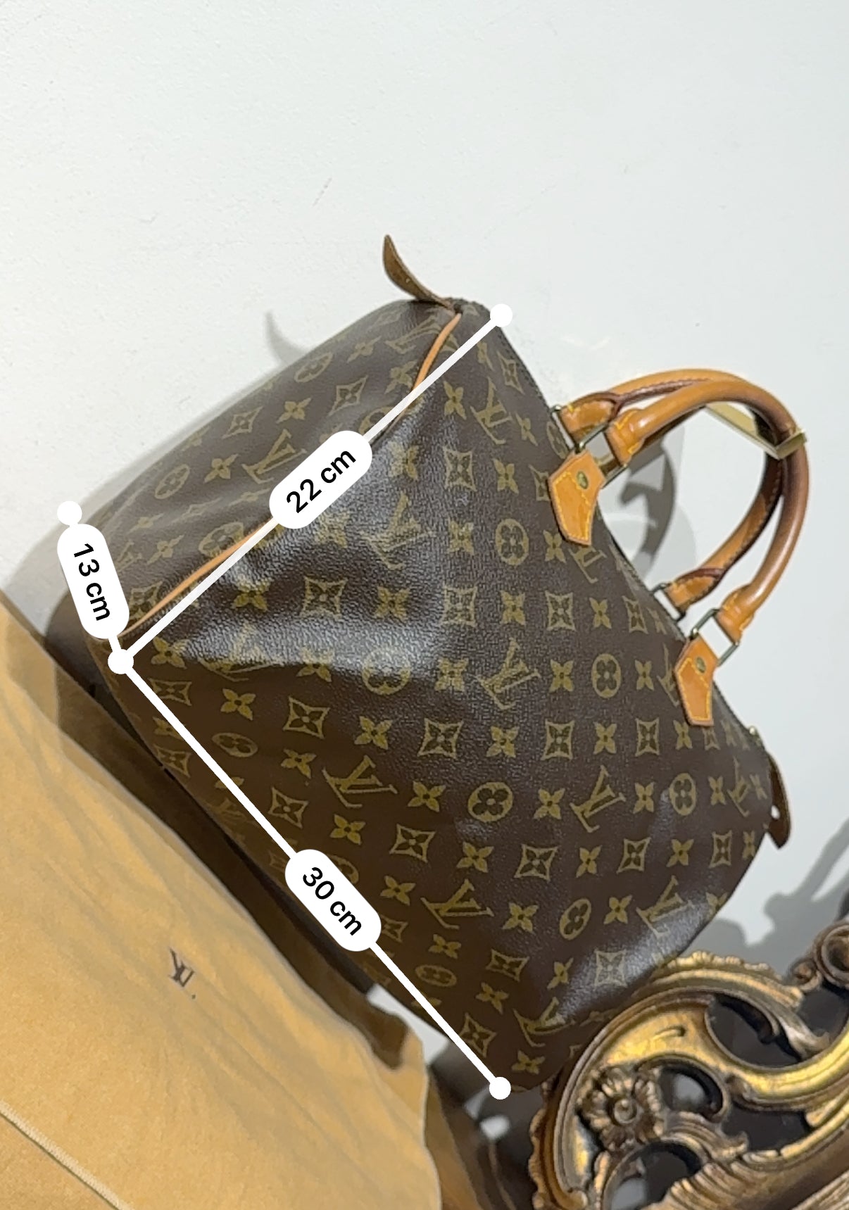 Louis Vuitton Speedy 30 Monogram