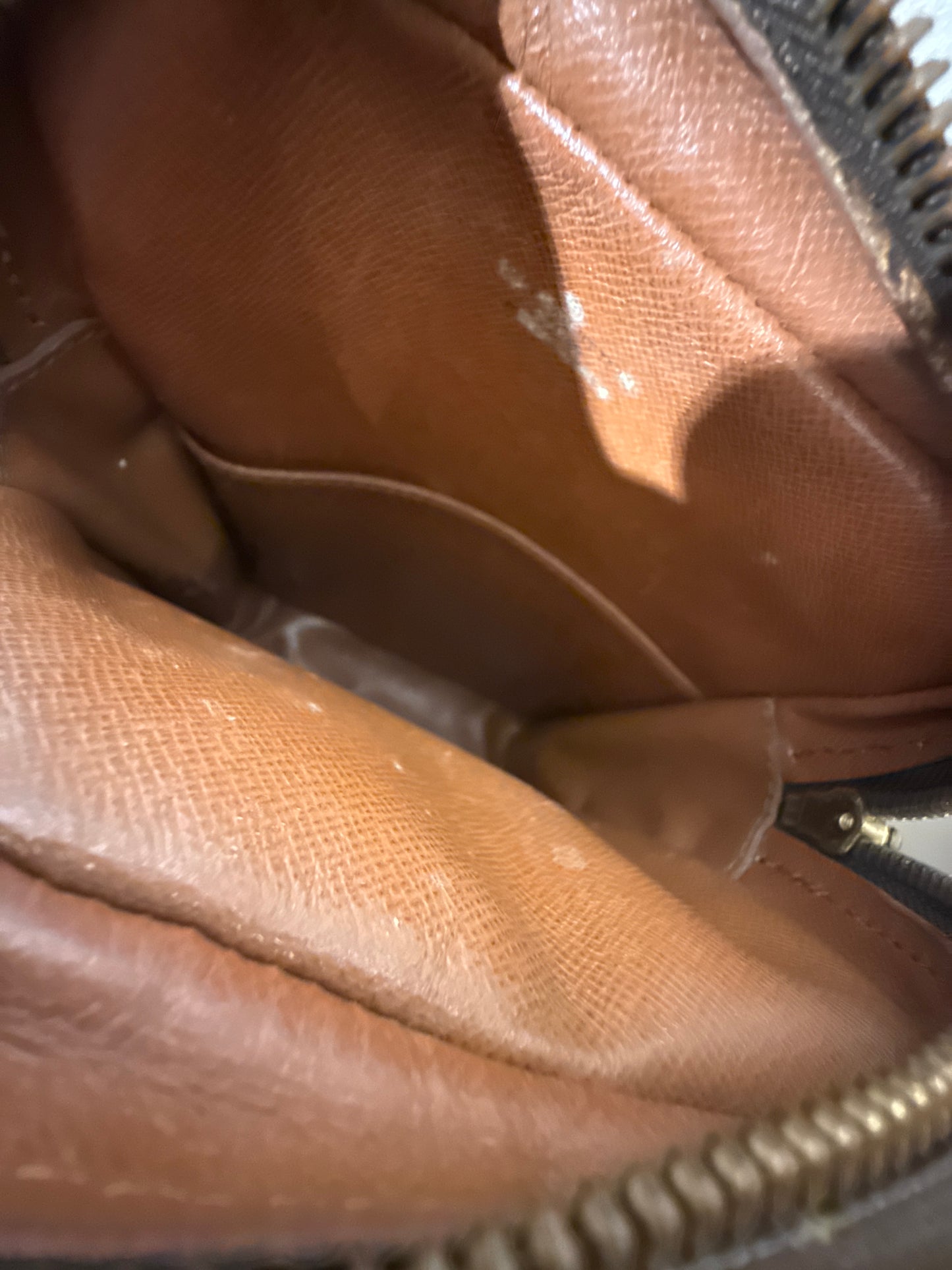 Louis Vuitton Monogram Amazon Crossbody