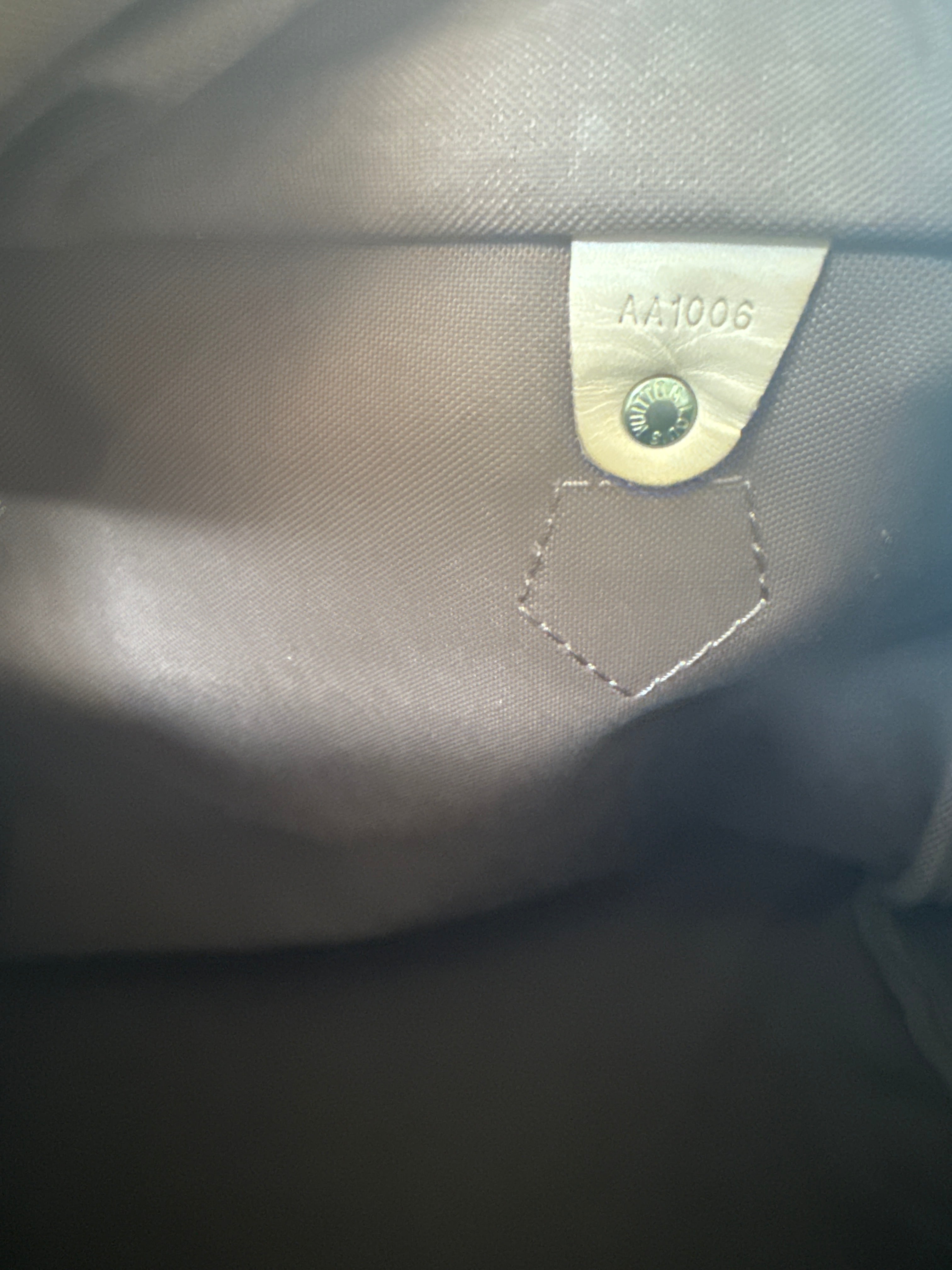 Louis Vuitton Speedy 30 con tracolla