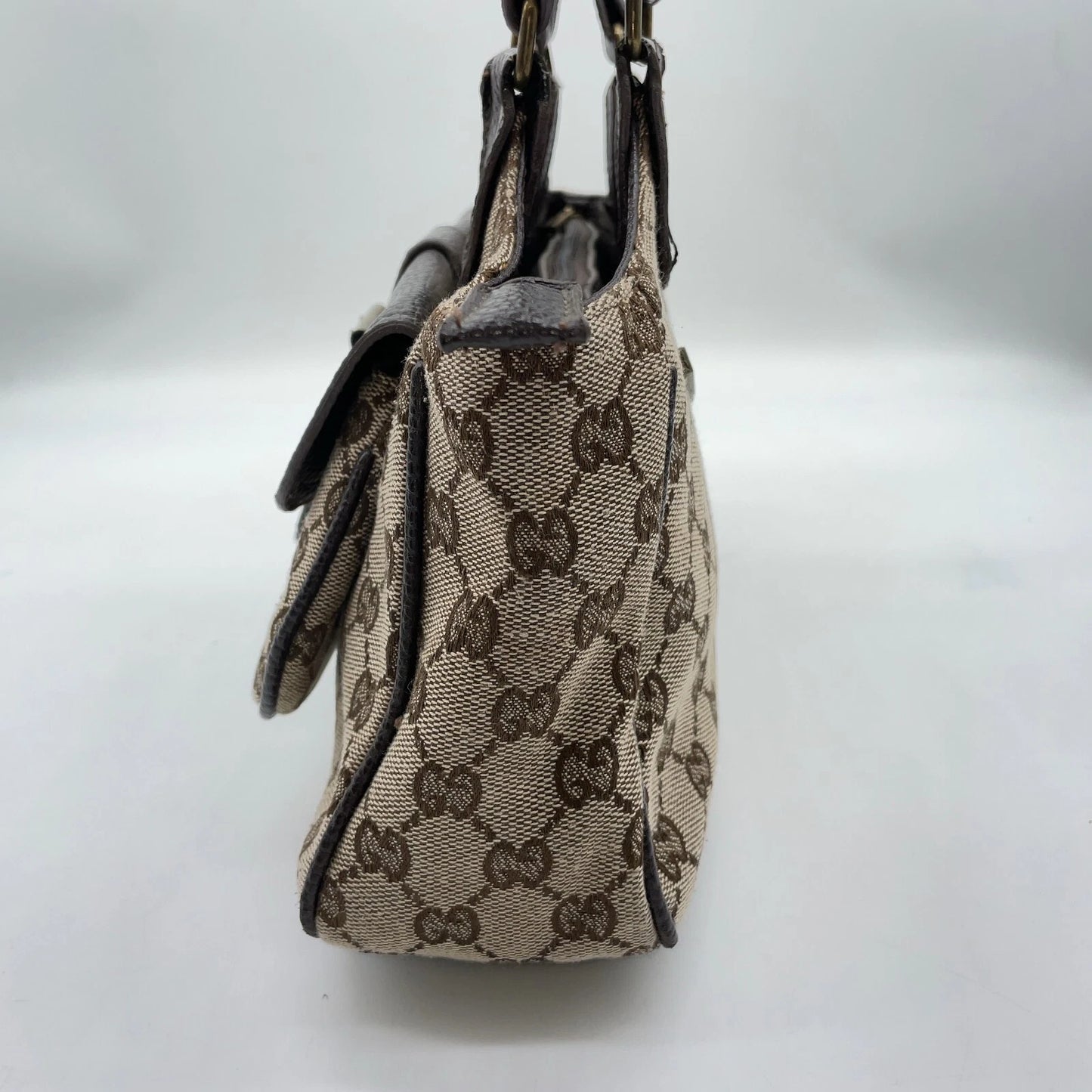 Gucci Canvas