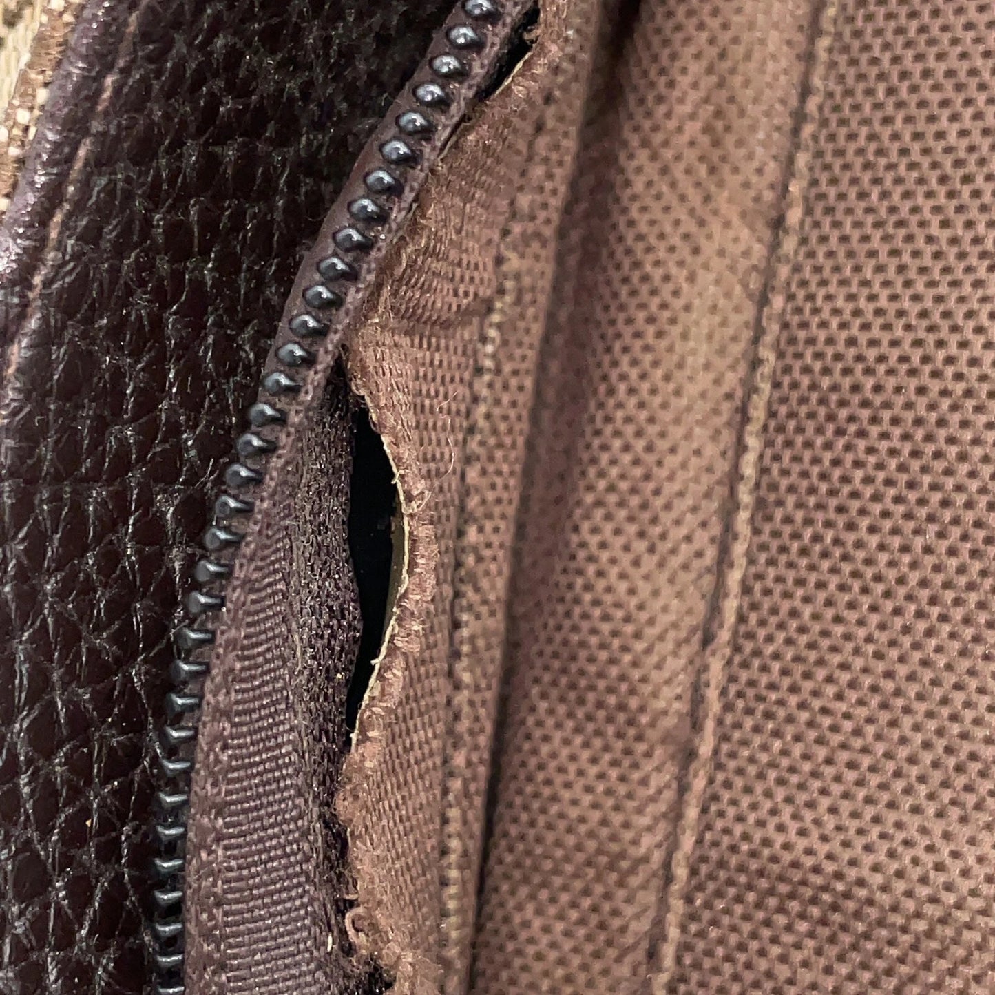 Gucci Canvas