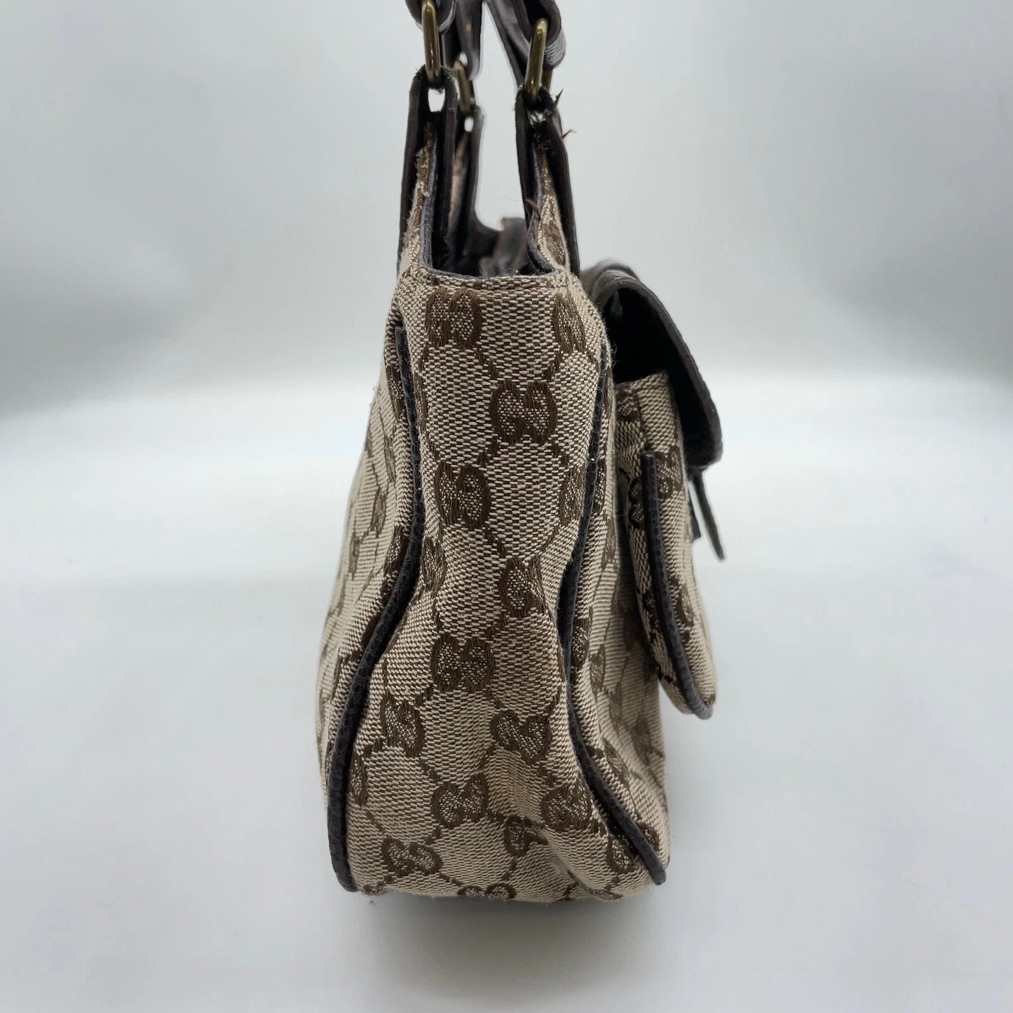 Gucci Canvas