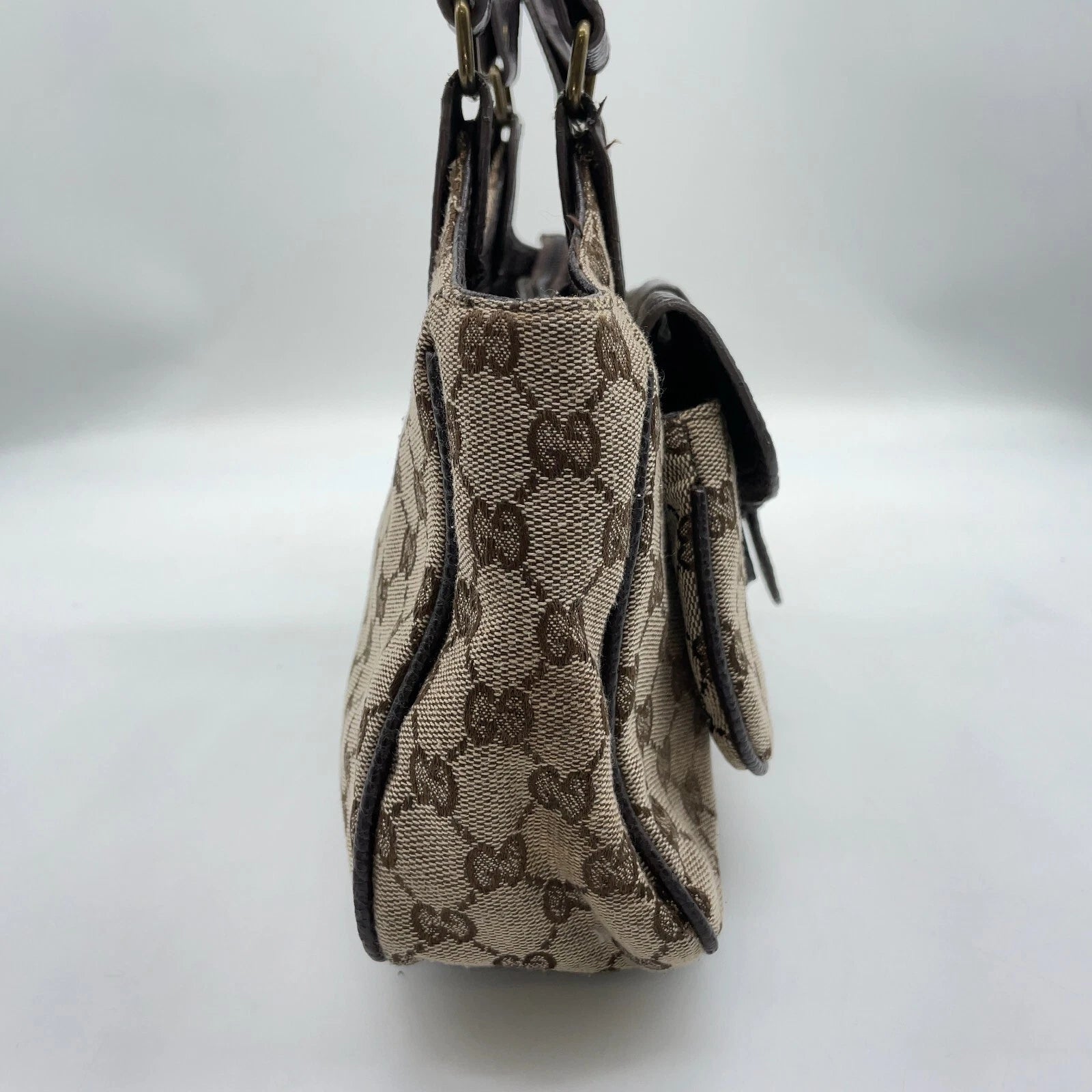 Gucci Canvas