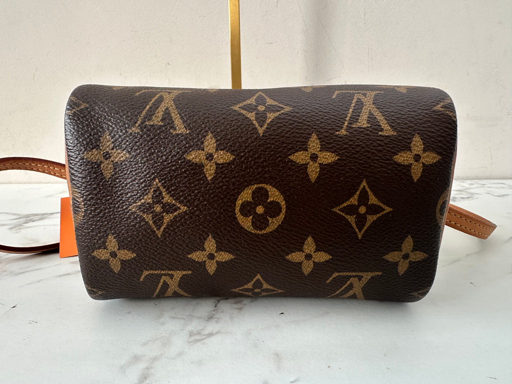Louis Vuitton Speedy Nano Bandouliere