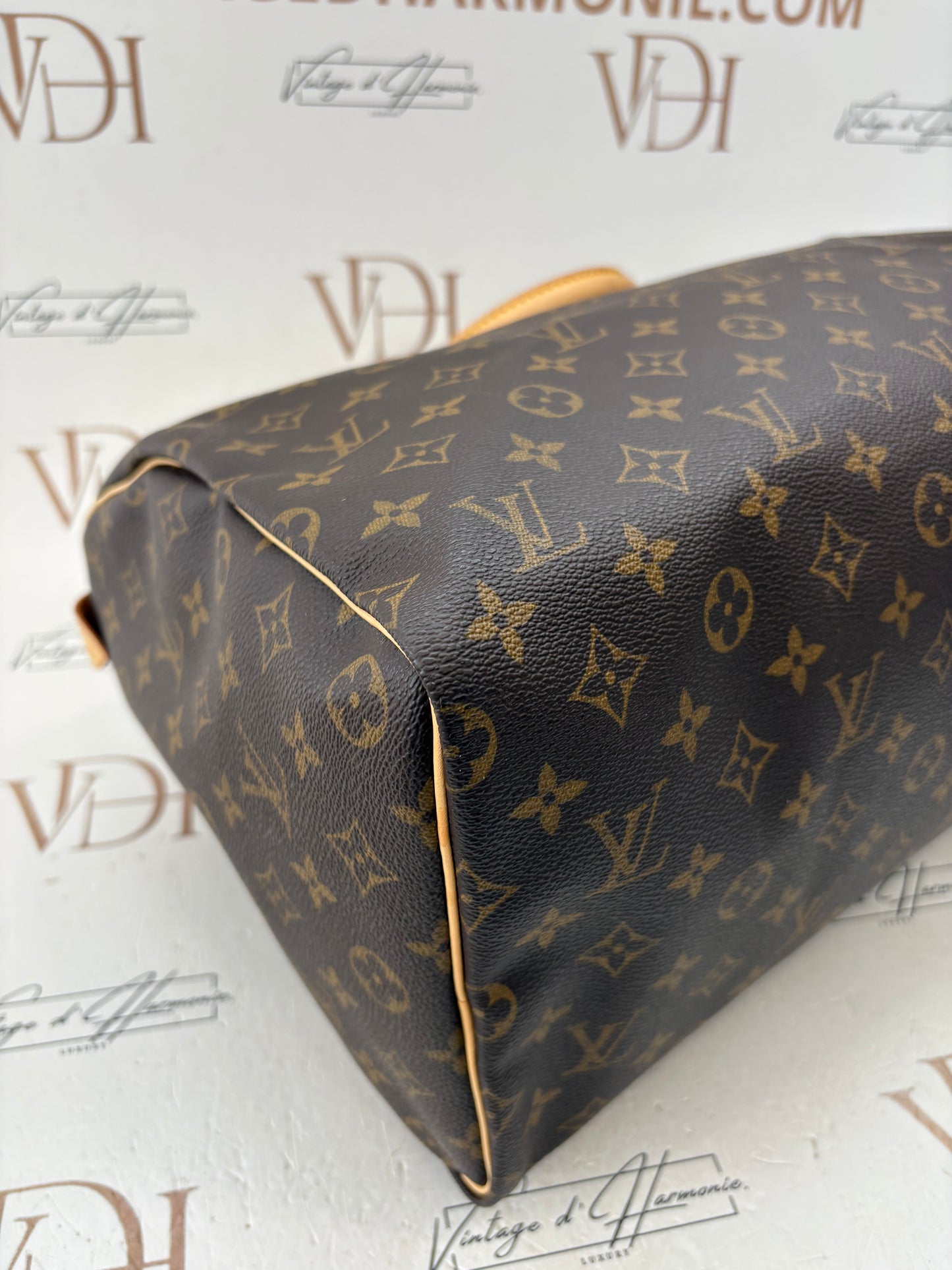 018402 - Louis Vuitton Speedy 40