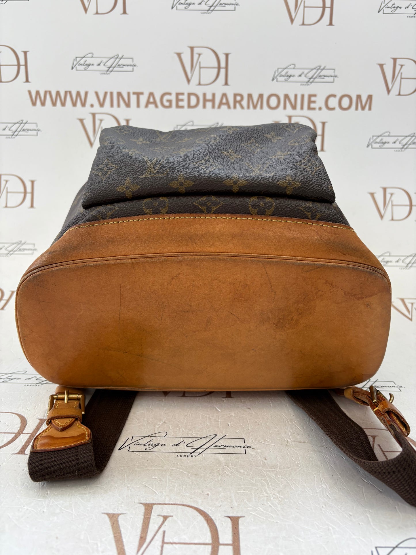 018565 - Louis Vuitton Montsouris GM