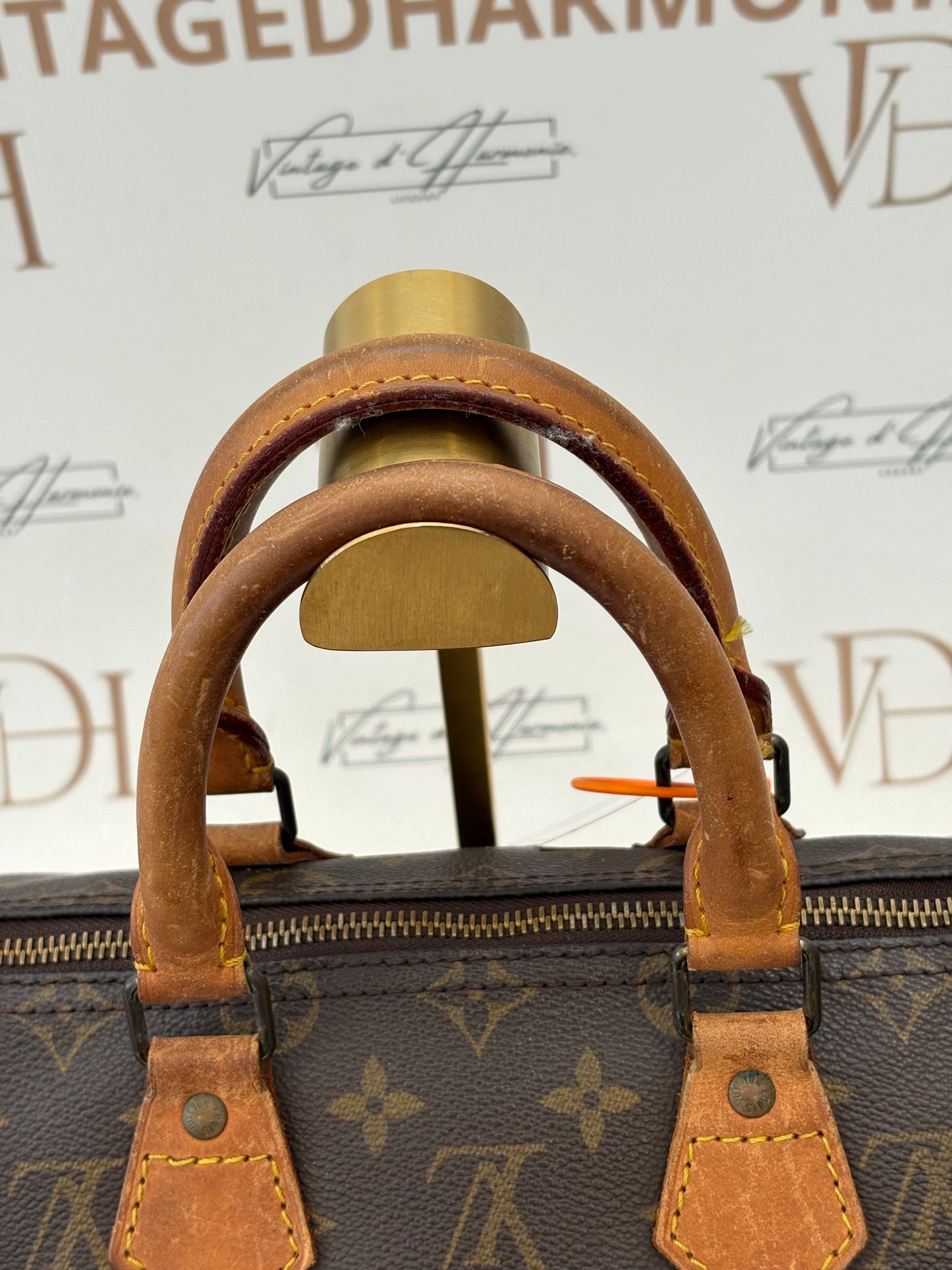 018758 - Louis Vuitton Speedy 25